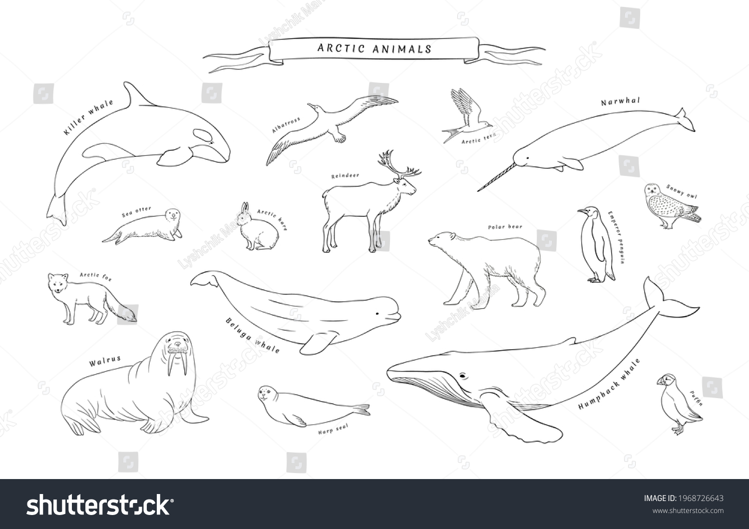 Arctic animals Set