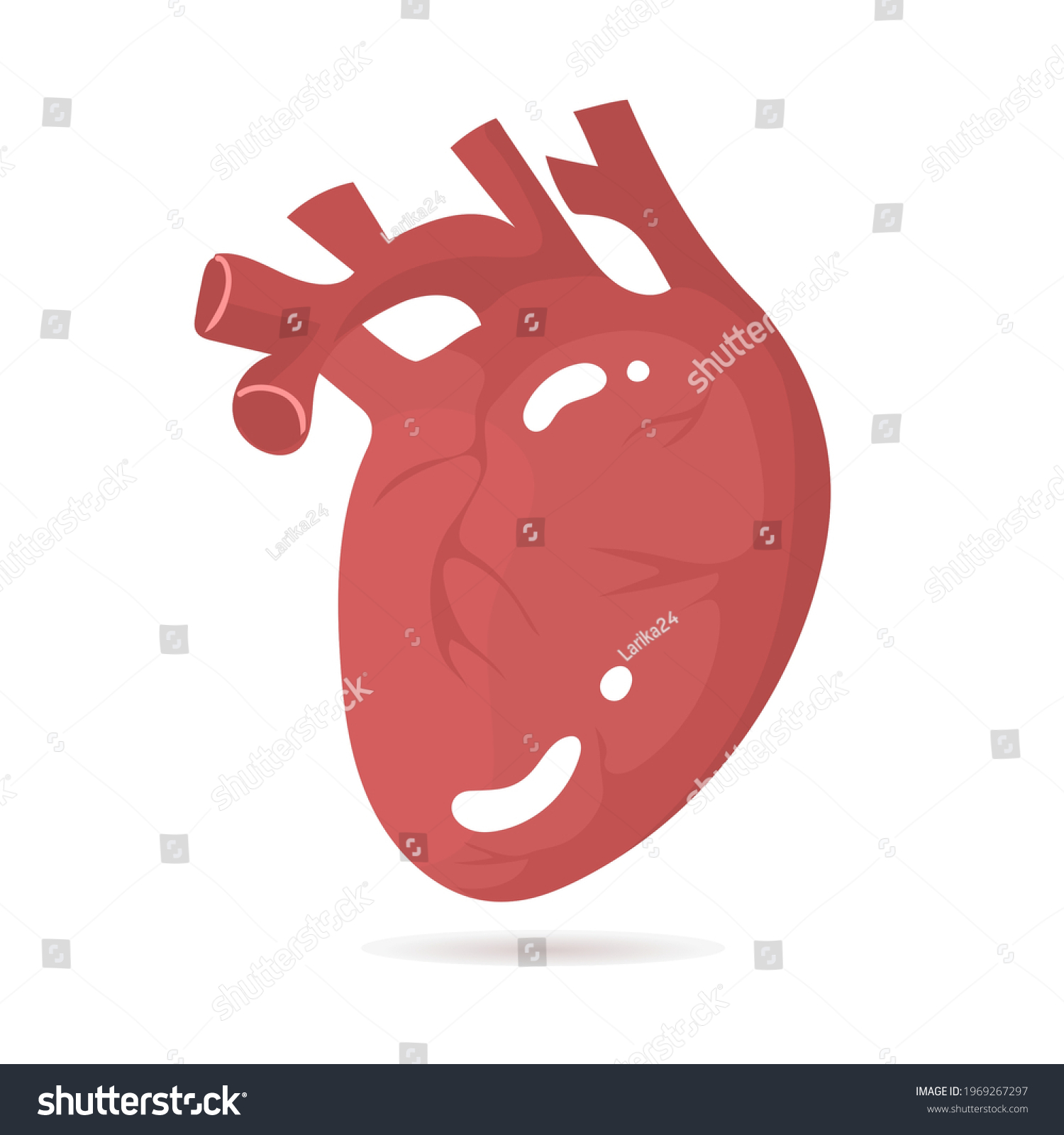 Human Heart Isolated On White Background Stock Vector (Royalty Free ...