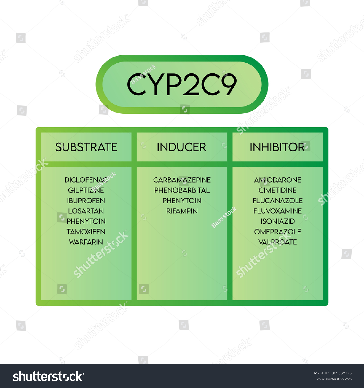 Cyp2c9 Cytochrome P450 Enzyme Substrates Inducers Stock Vector (Royalty ...