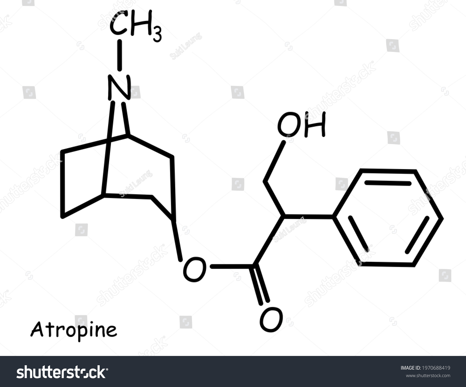 90 Atropine chemical structure Images, Stock Photos & Vectors ...