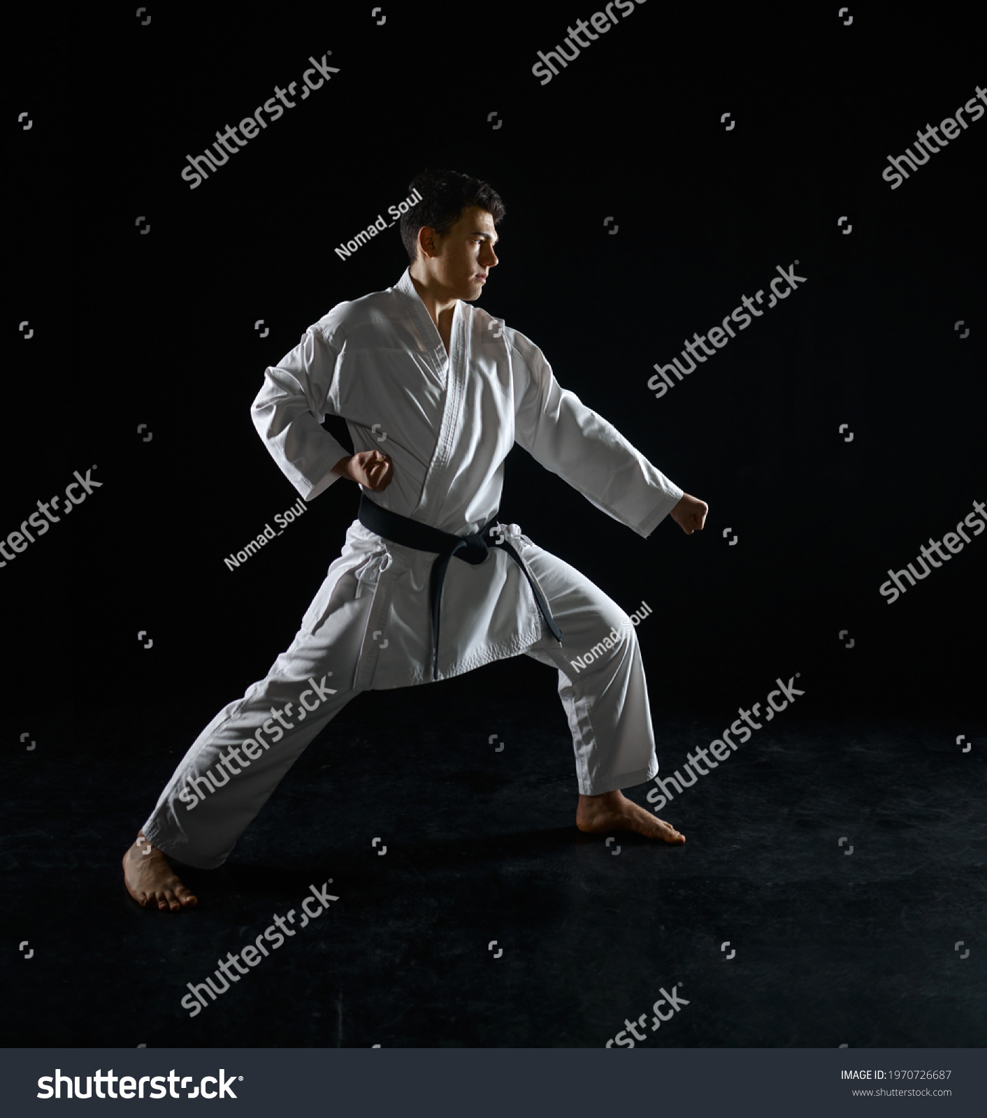 Male Karate Fighter Combat Stance Stock Photo 1970726687 | Shutterstock