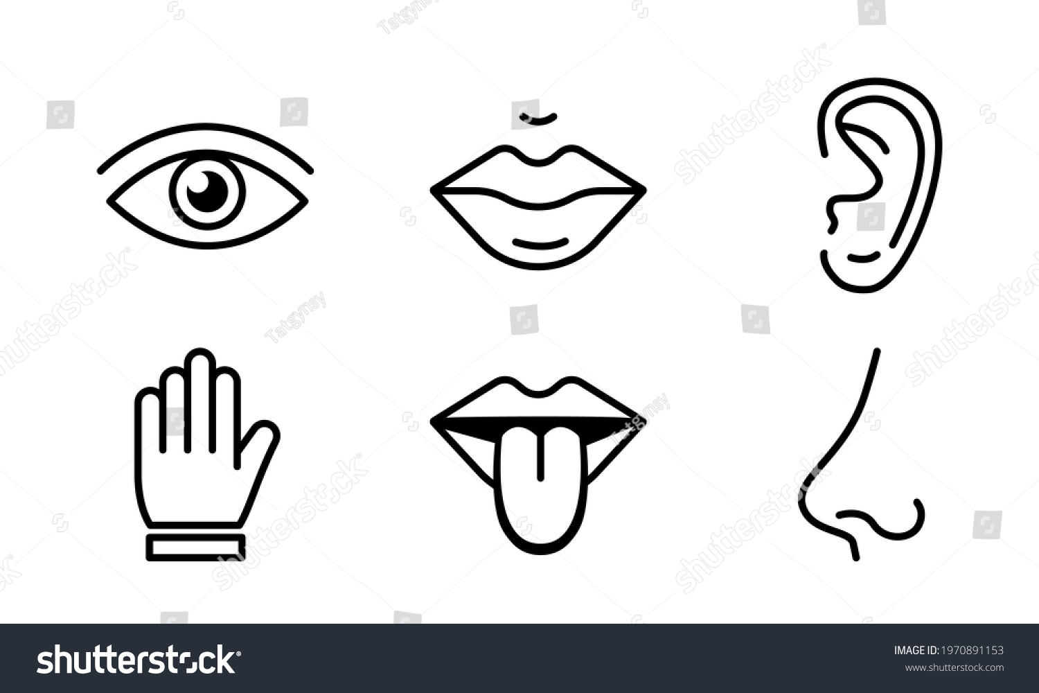 Human Sense Five Types Vision Through Stock Vector (Royalty Free ...