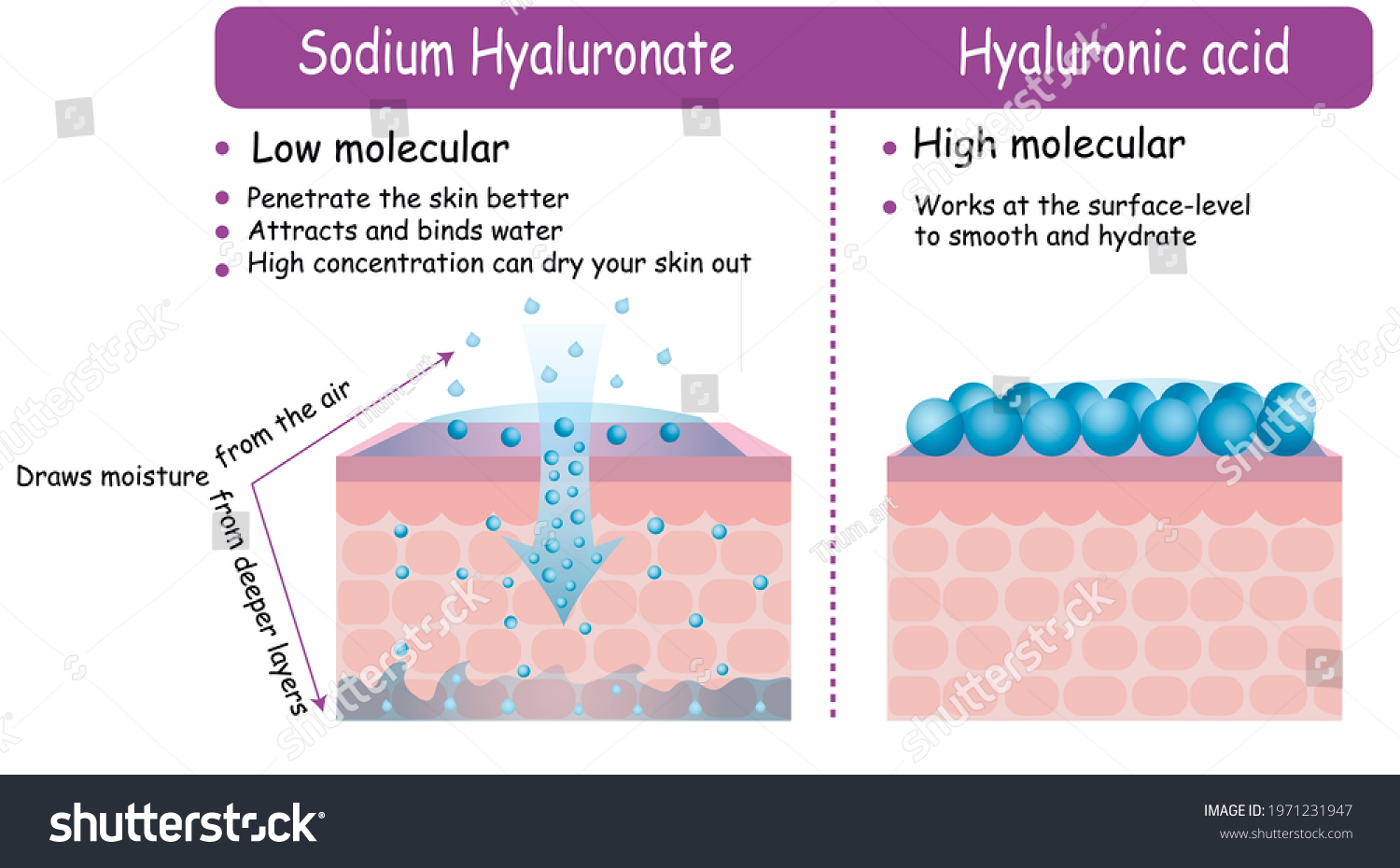 Hyaluronic acid sodium hyaluronate