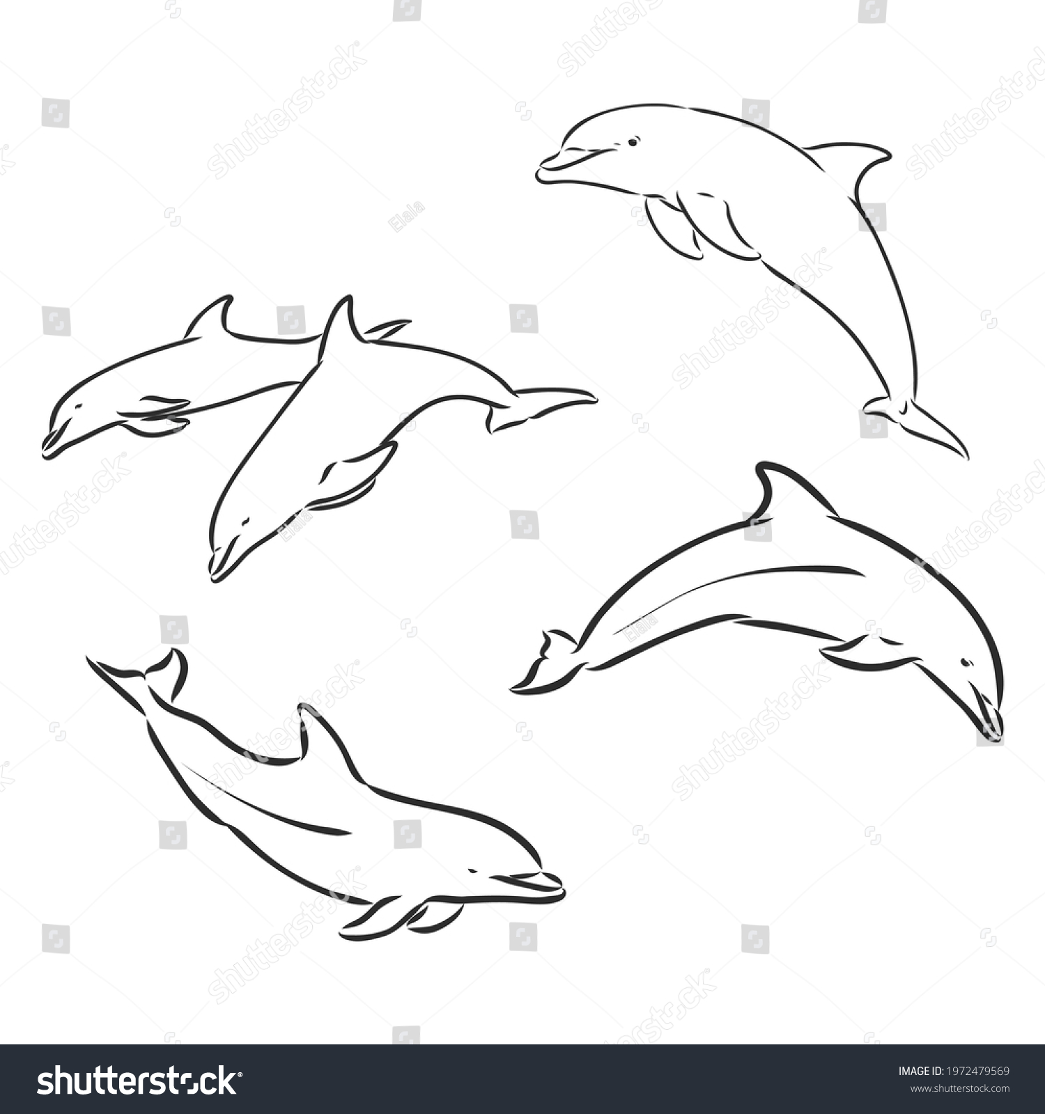 Дельфины из линий