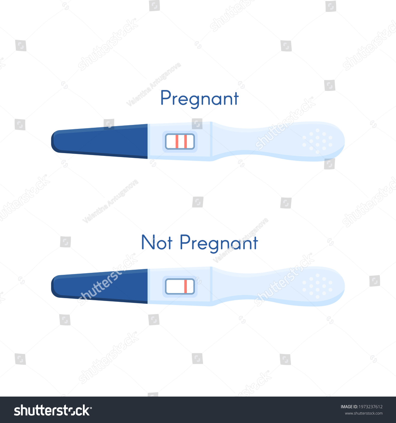 Pregnancy Ovulation Positive Negative Test Isolated Stock Vector