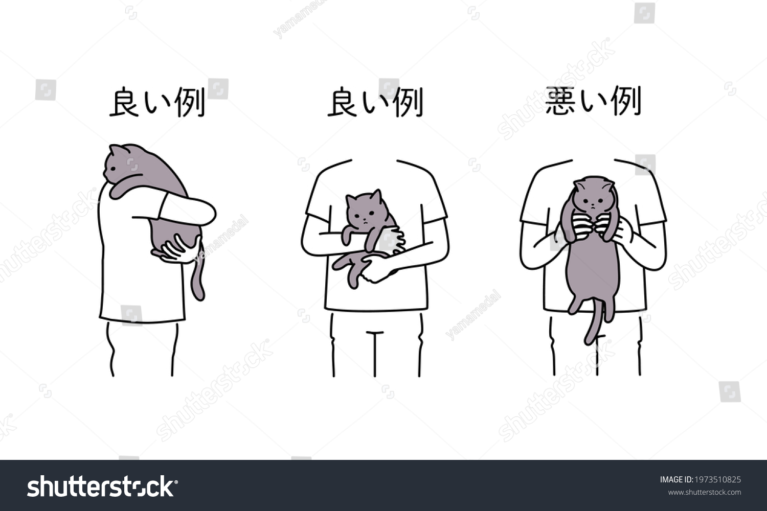 how-hug-cat-good-bad-examples-stock-vector-royalty-free-1973510825