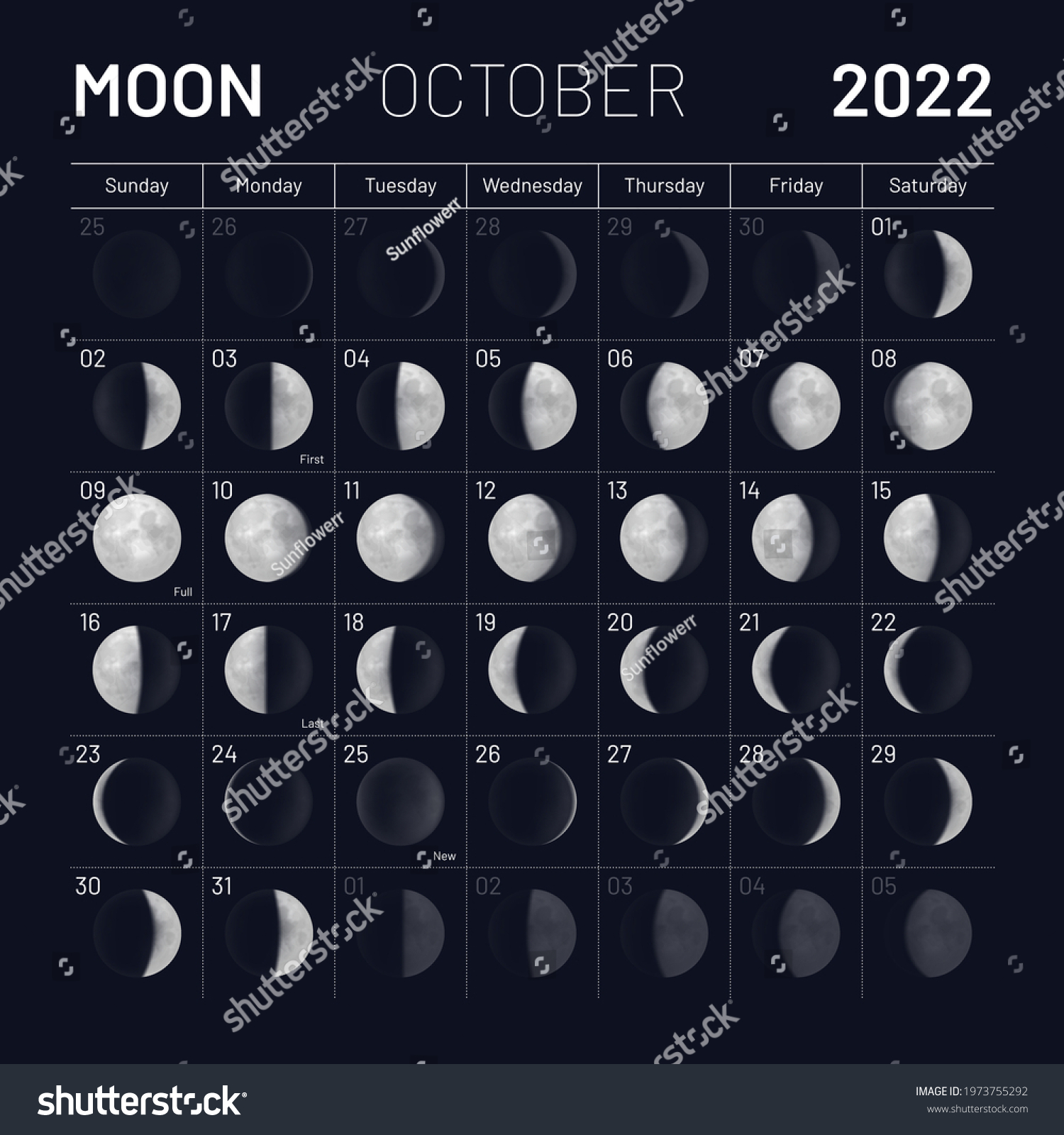 October Lunar Calendar 2022 Y Night Stock Vector (Royalty Free ...