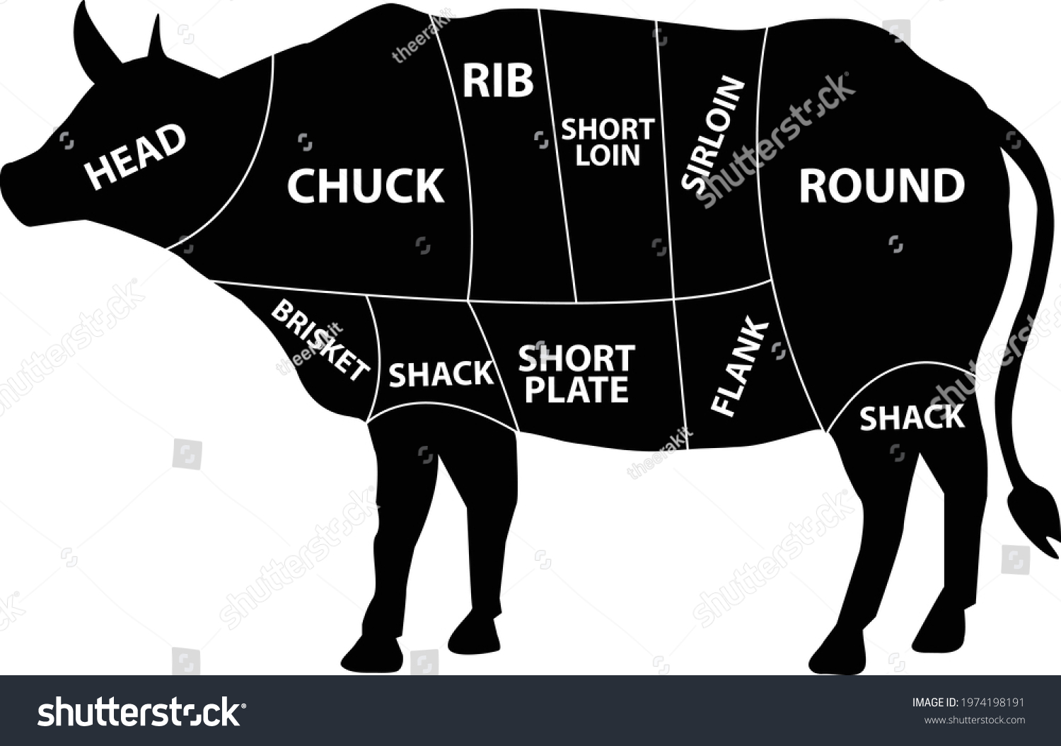 Meat Diagram Cow On White Background Stock Vector (Royalty Free ...