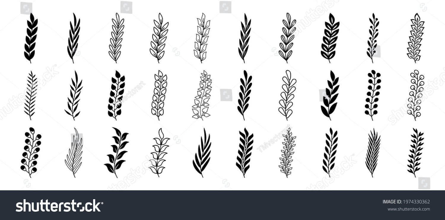 Set Black Branches Leaves Hand Drawing Stock Vector (royalty Free 