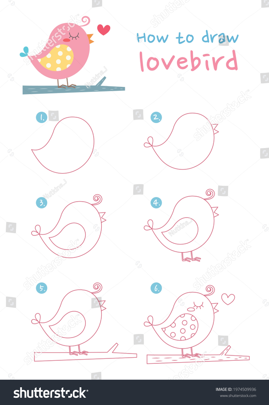 How Draw Lovebird Vector Illustration Draw Stock Vector (Royalty Free ...