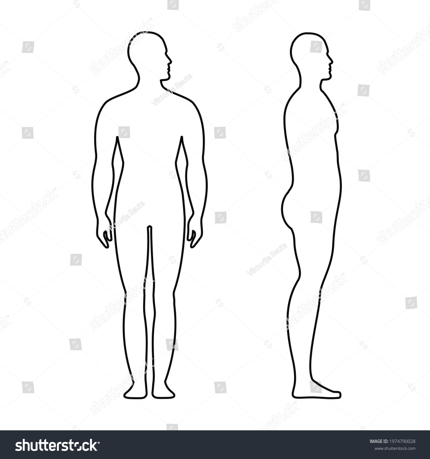 male-anatomy-human-character-front-side-stock-vector-royalty-free-1974790028-shutterstock