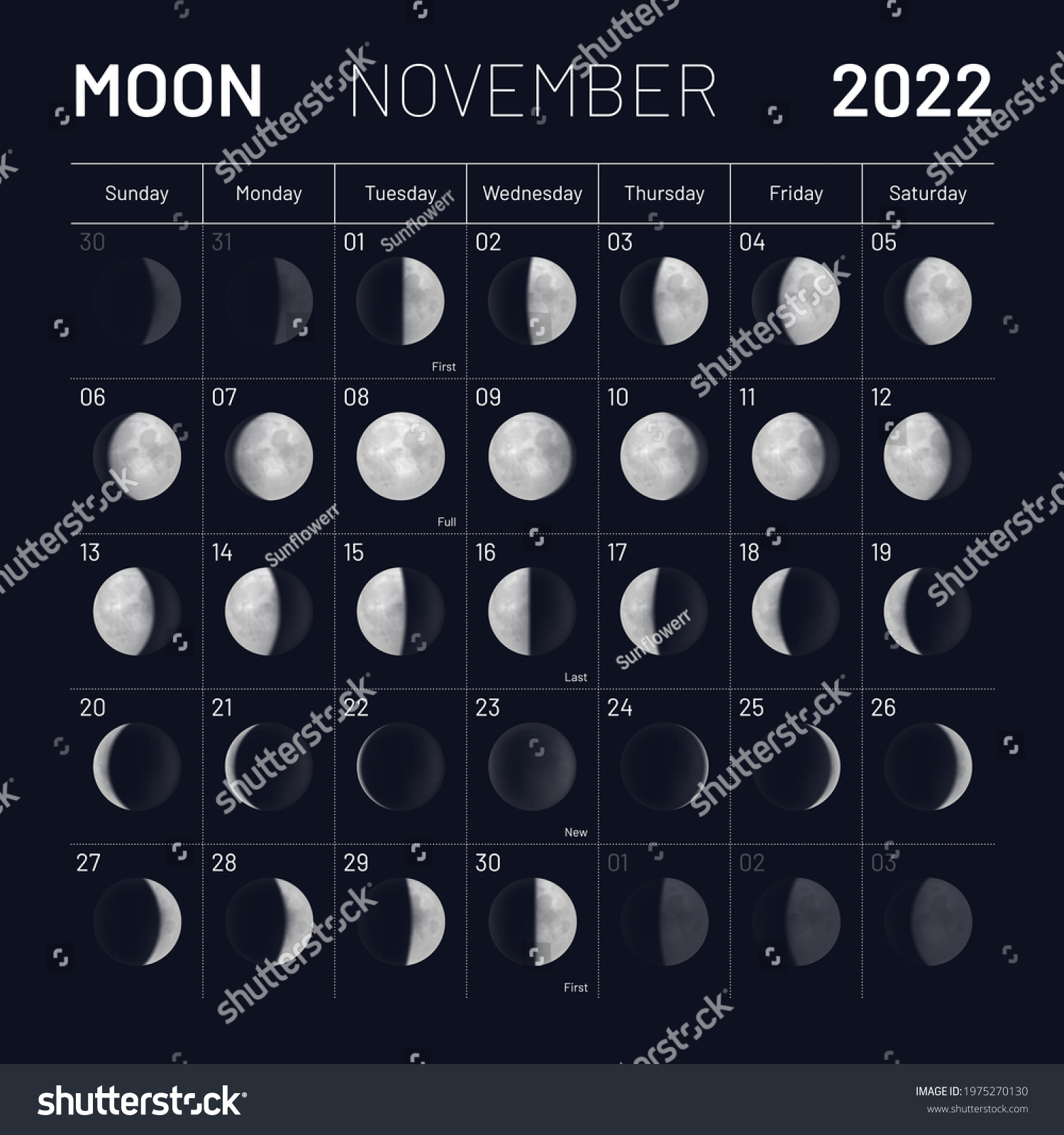 November Lunar Calendar 2022 Y Night Stock Vector (Royalty Free ...