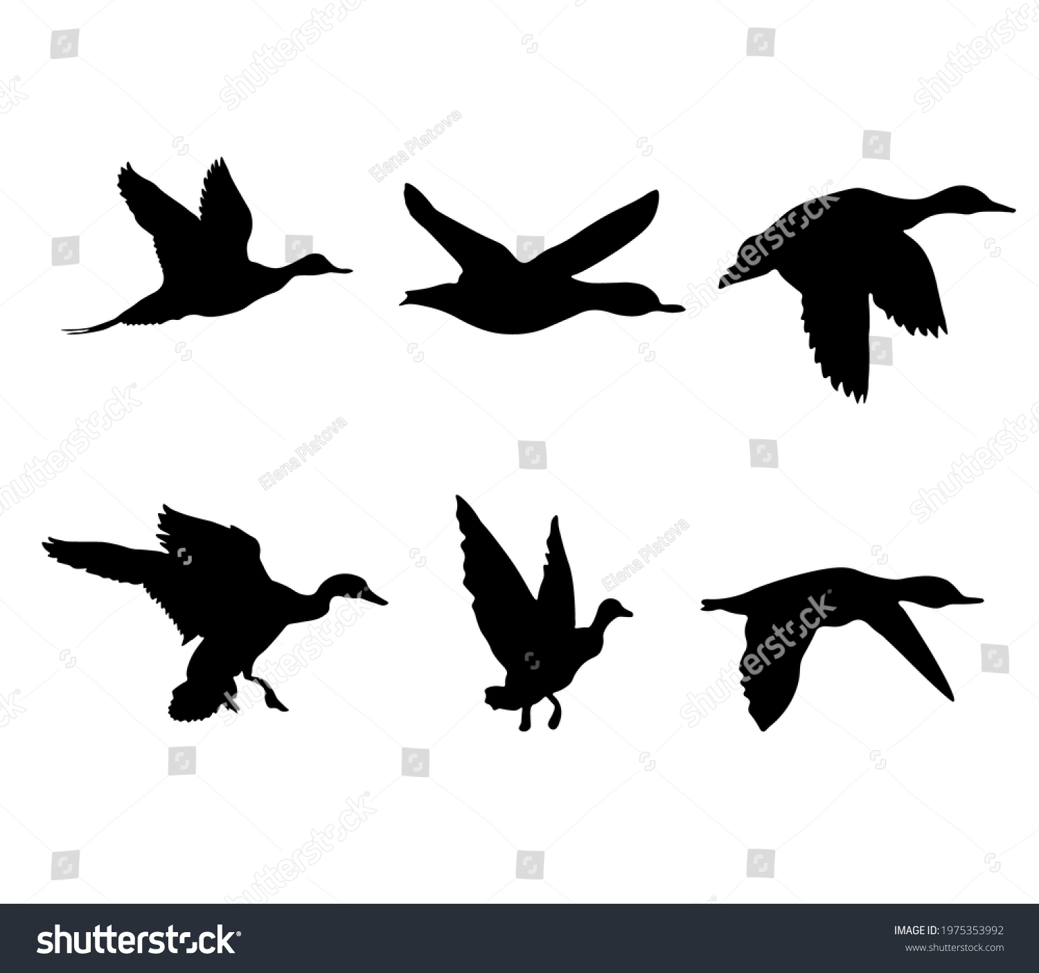 Ducks Flying Set Black Silhouettes Ducks Stock Vector (Royalty Free ...