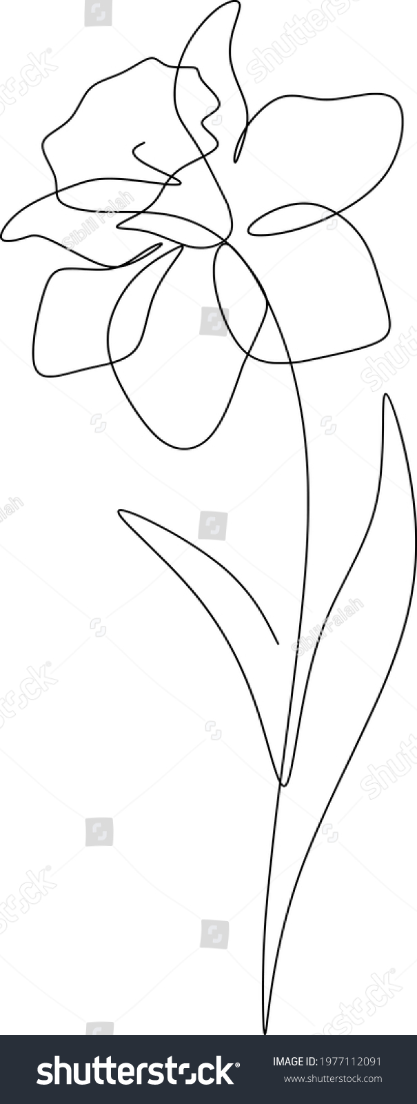 Singleline Drawing Art Flower Vector Vector Stock Vector (Royalty Free ...