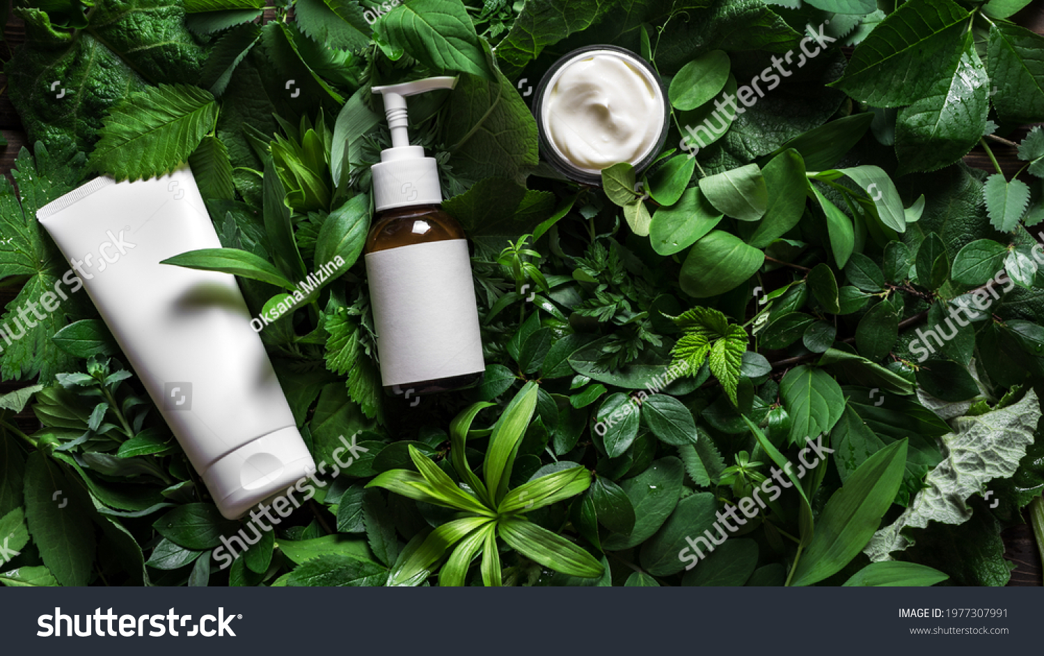 Cosmetic Skin Care Products Body Lotion Stock Photo 1977307991 ...