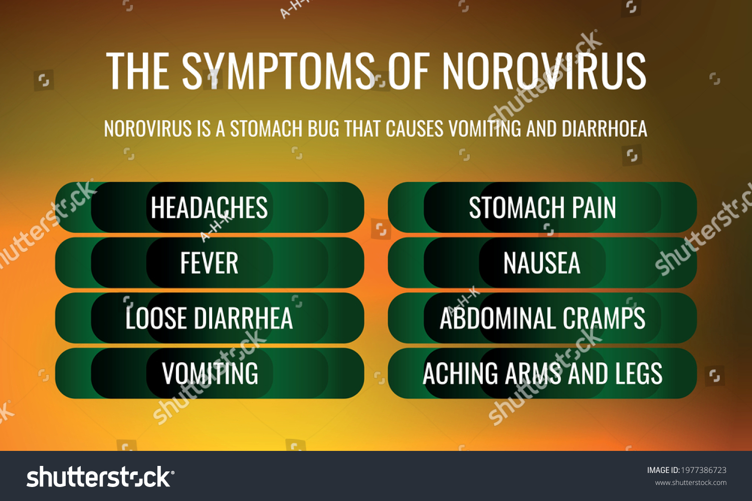 Symptoms Norovirus Infection Vector Illustration Medical Stock Vector
