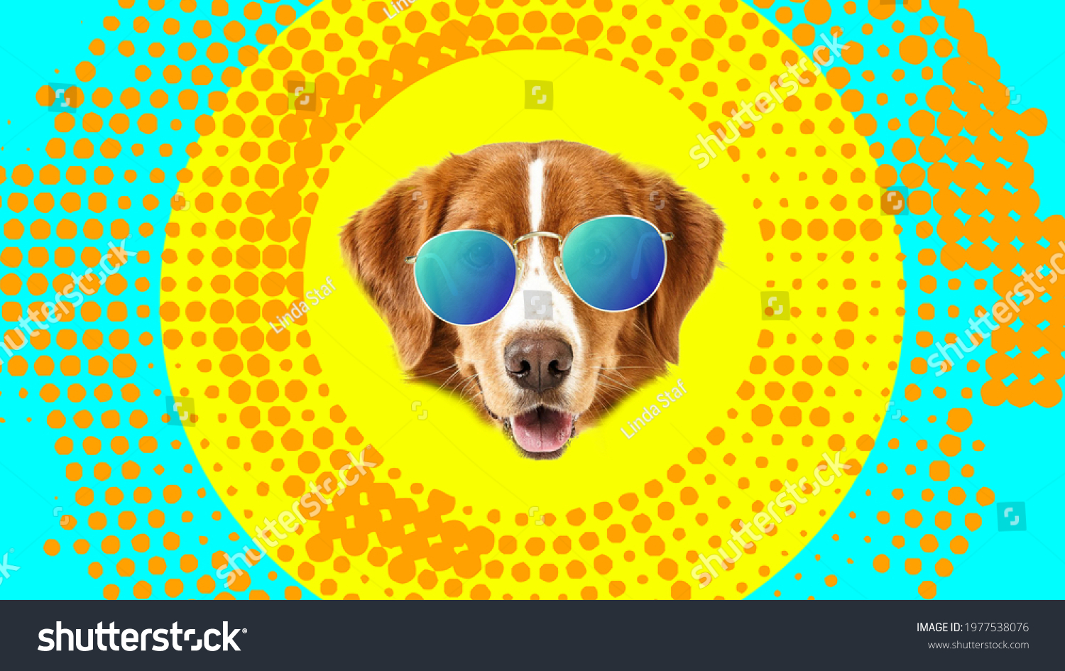 Surreal Art Collage Concept Dog Wearing Stock Photo 1977538076 ...