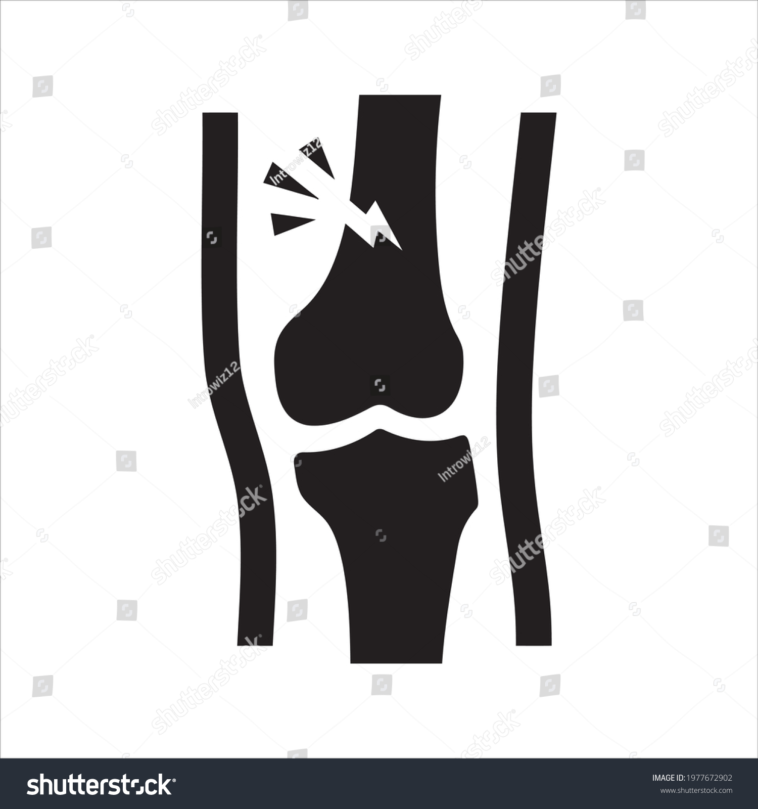 Leg Fracture Icon Vector Glyph Stock Vector (Royalty Free) 1977672902 ...