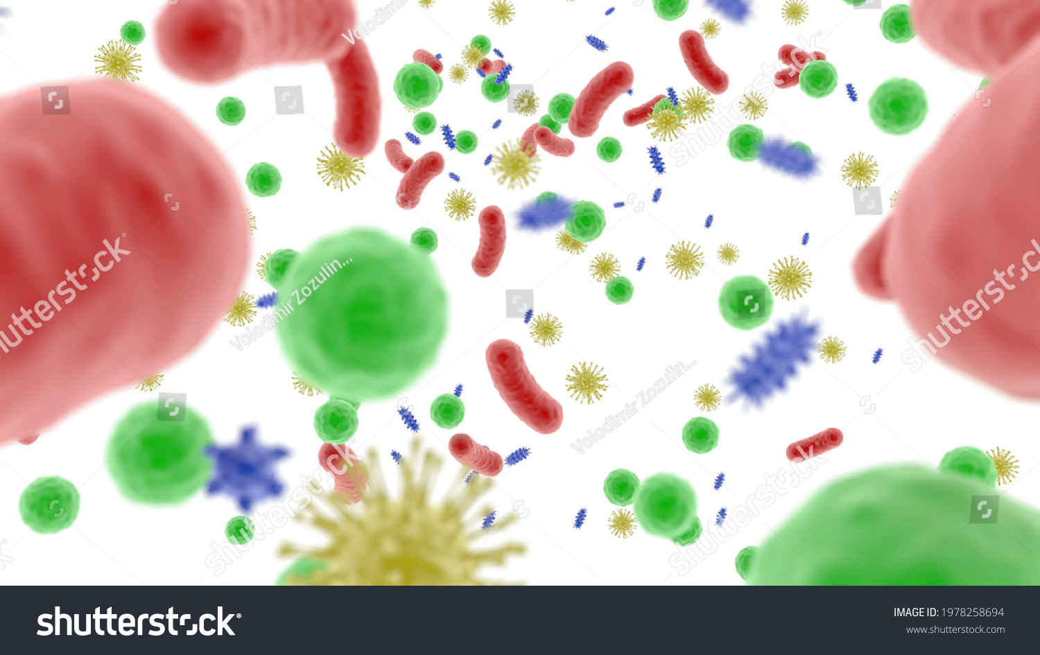 Microbiome Body Healthy Food Human Health Stock Illustration 1978258694 ...