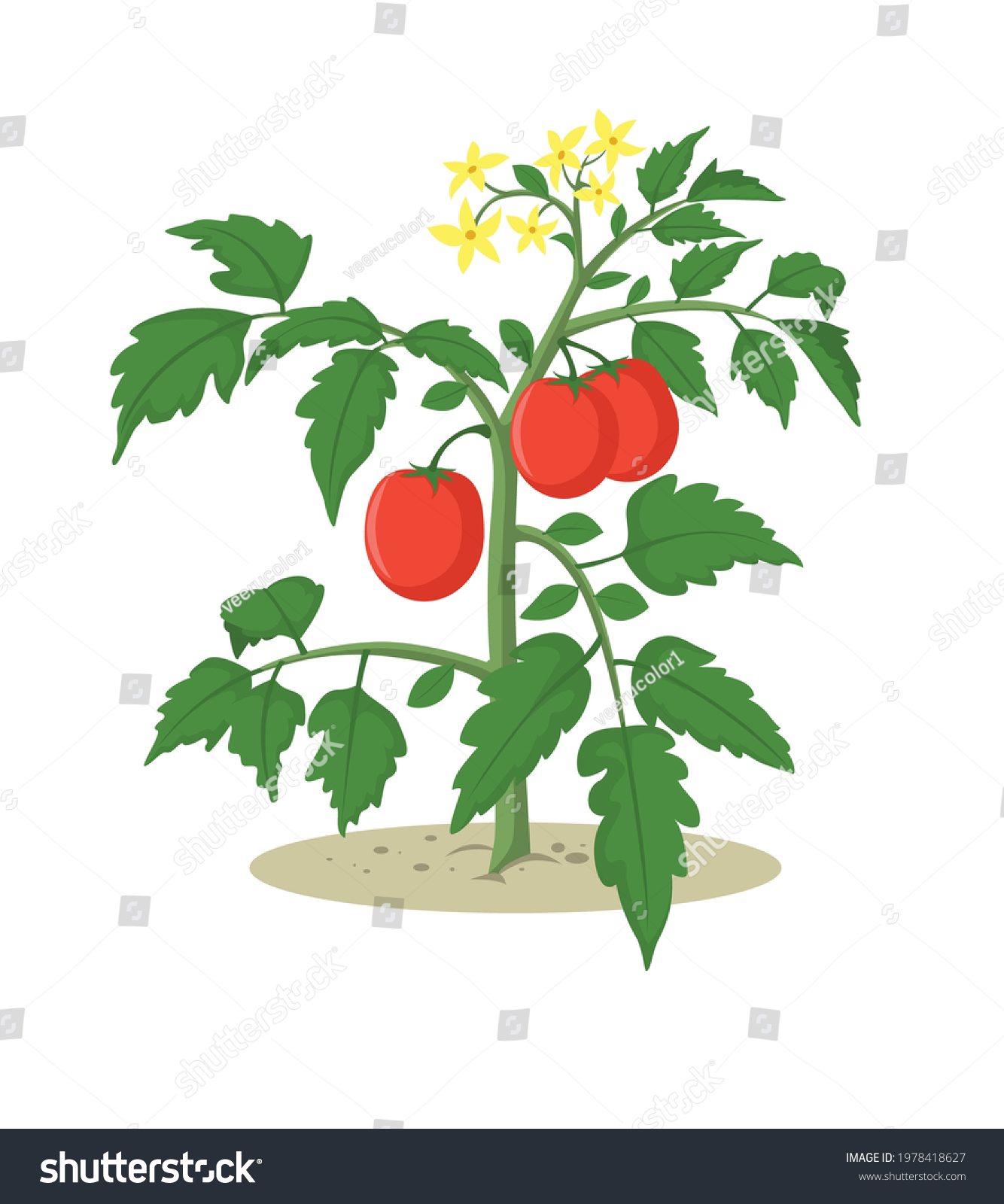 Tomato Plant Cartoon Vector Illustration Stock Vector (Royalty Free ...