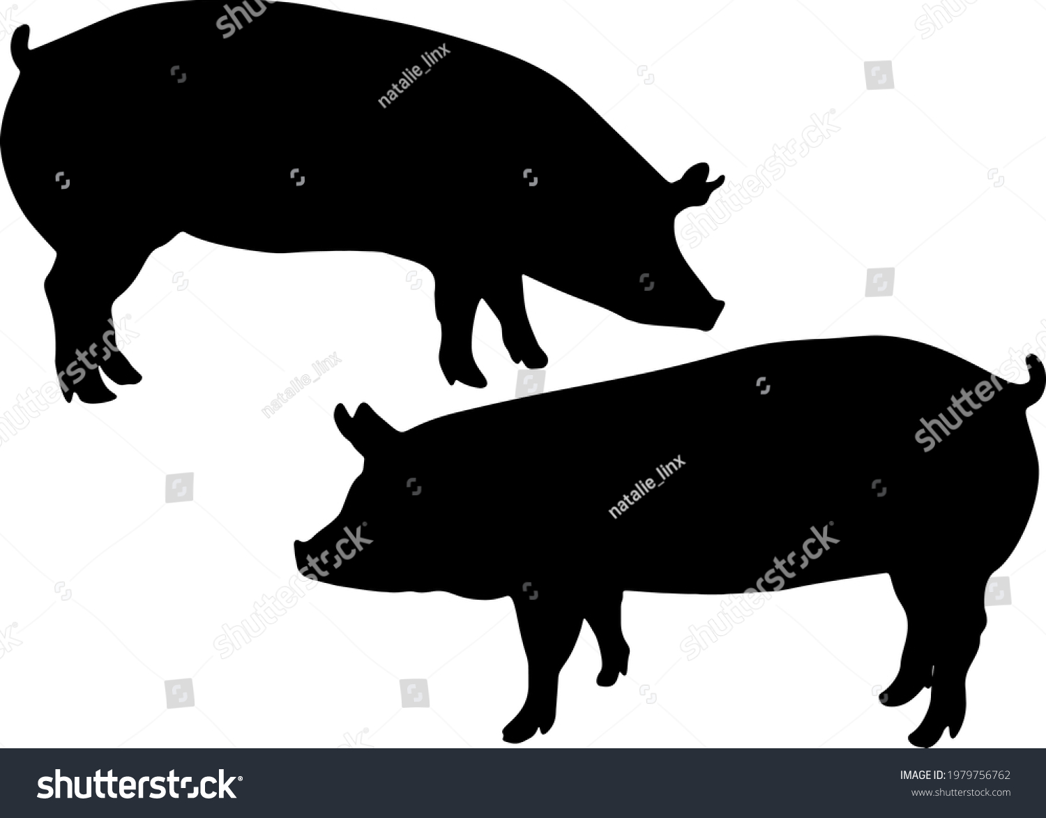 Large Pigs Set Vector Image Stock Vector (Royalty Free) 1979756762 ...