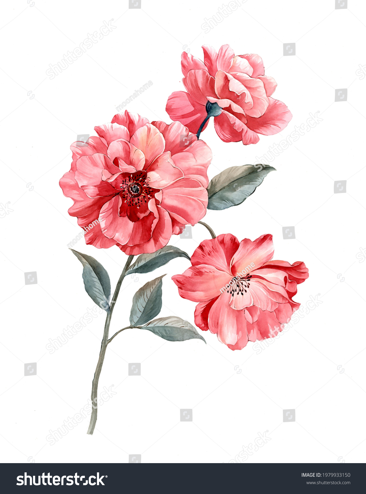 Flowers Carry Scent Spring Leaves Flowers Stock Illustration 1979933150 ...