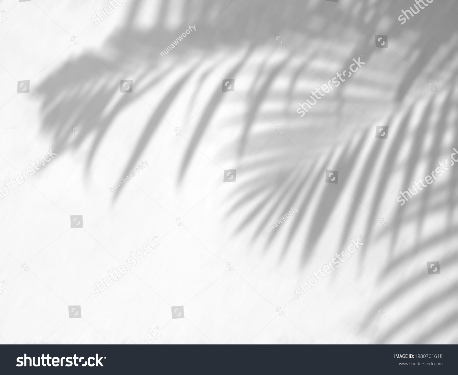 91.105 153.118 9004. Palm Shadow.