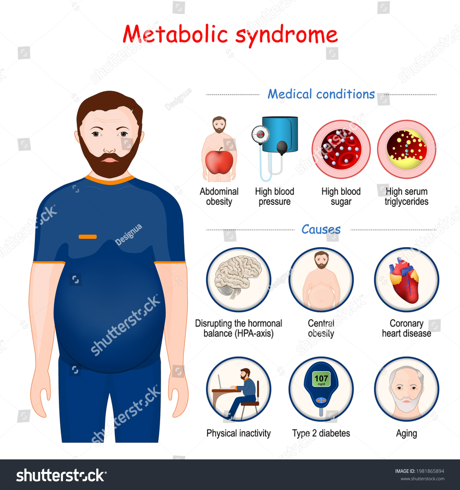 Metabolic Syndrome Causes Medical Conditions Infographic Stock Vector ...