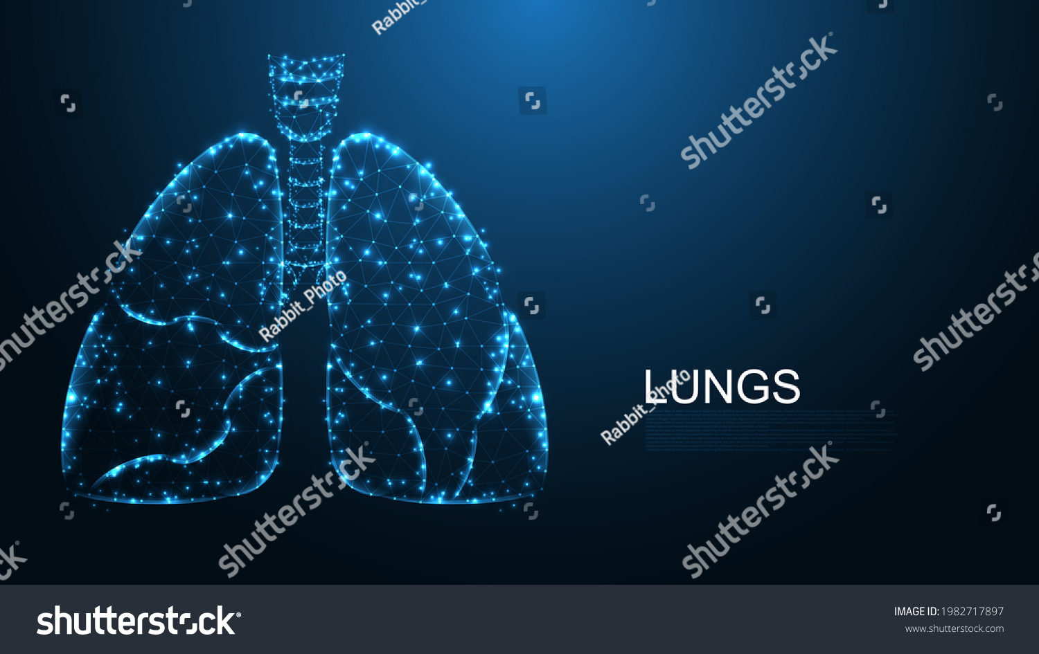 Lungs Human Anatomy Structure Line Connection Stock Vector (royalty 