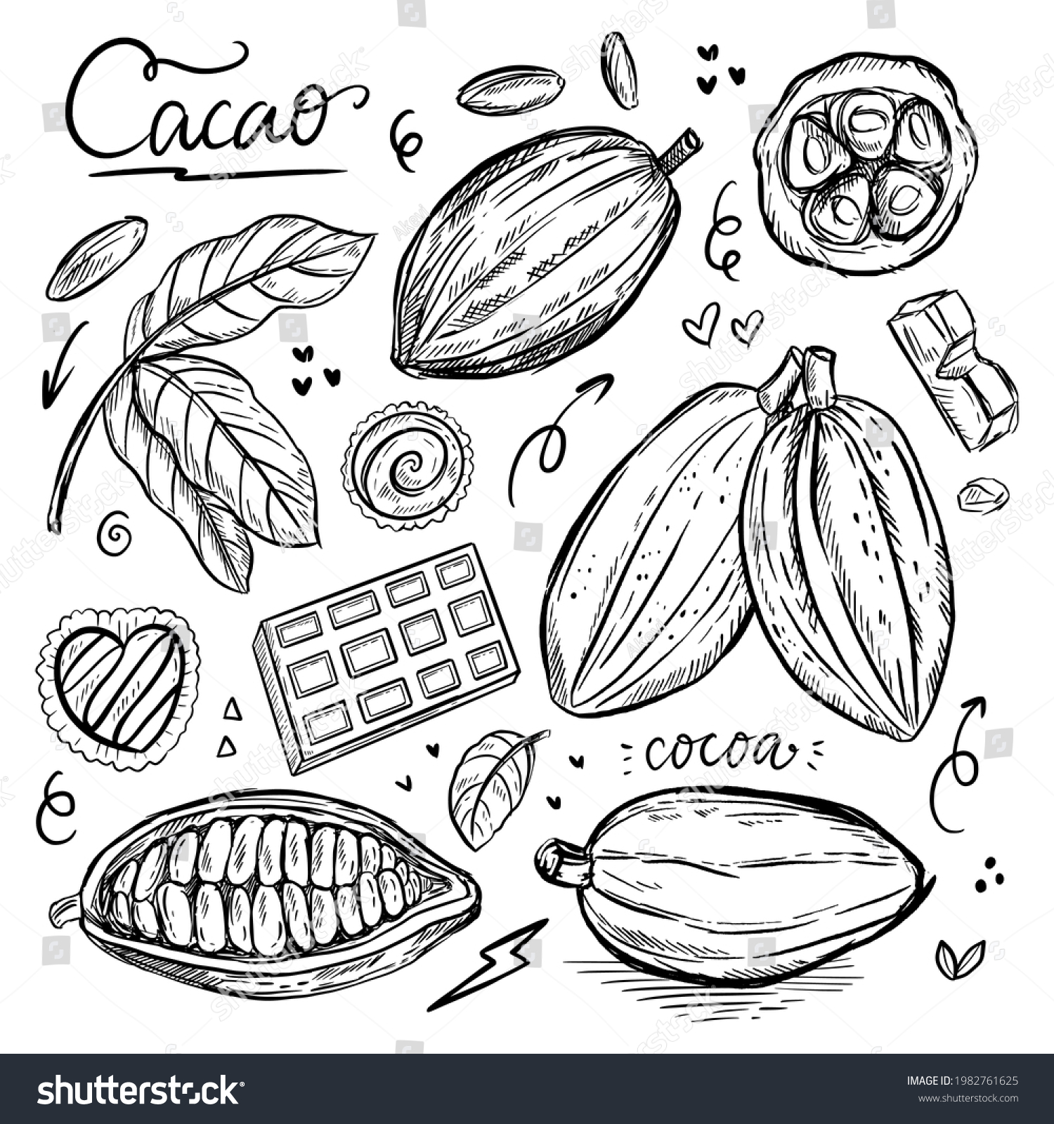 Engraving Drawing Cocoa Chocolate World Day Stock Vector (Royalty Free ...