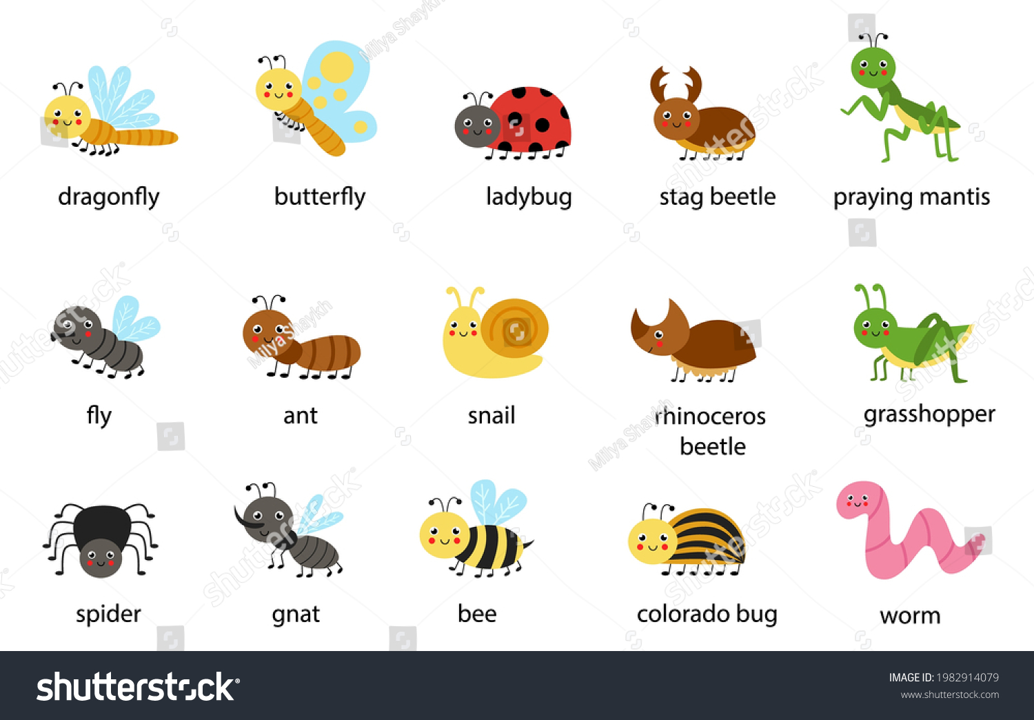 Set Cute Vector Insects Their Names Stock Vector (Royalty Free ...