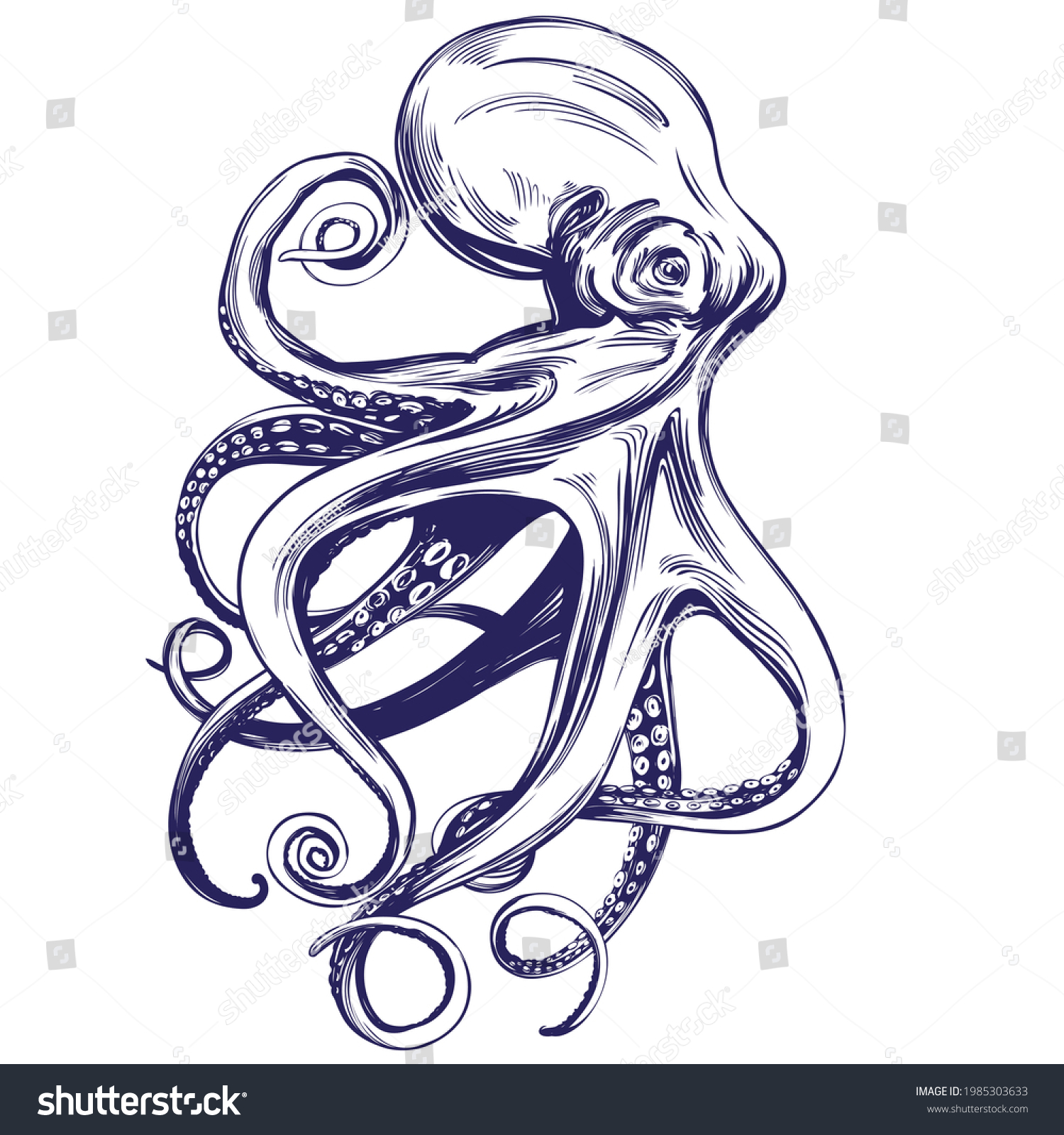 Octopus Sea Life Hand Drawn Vector Stock Vector (Royalty Free ...