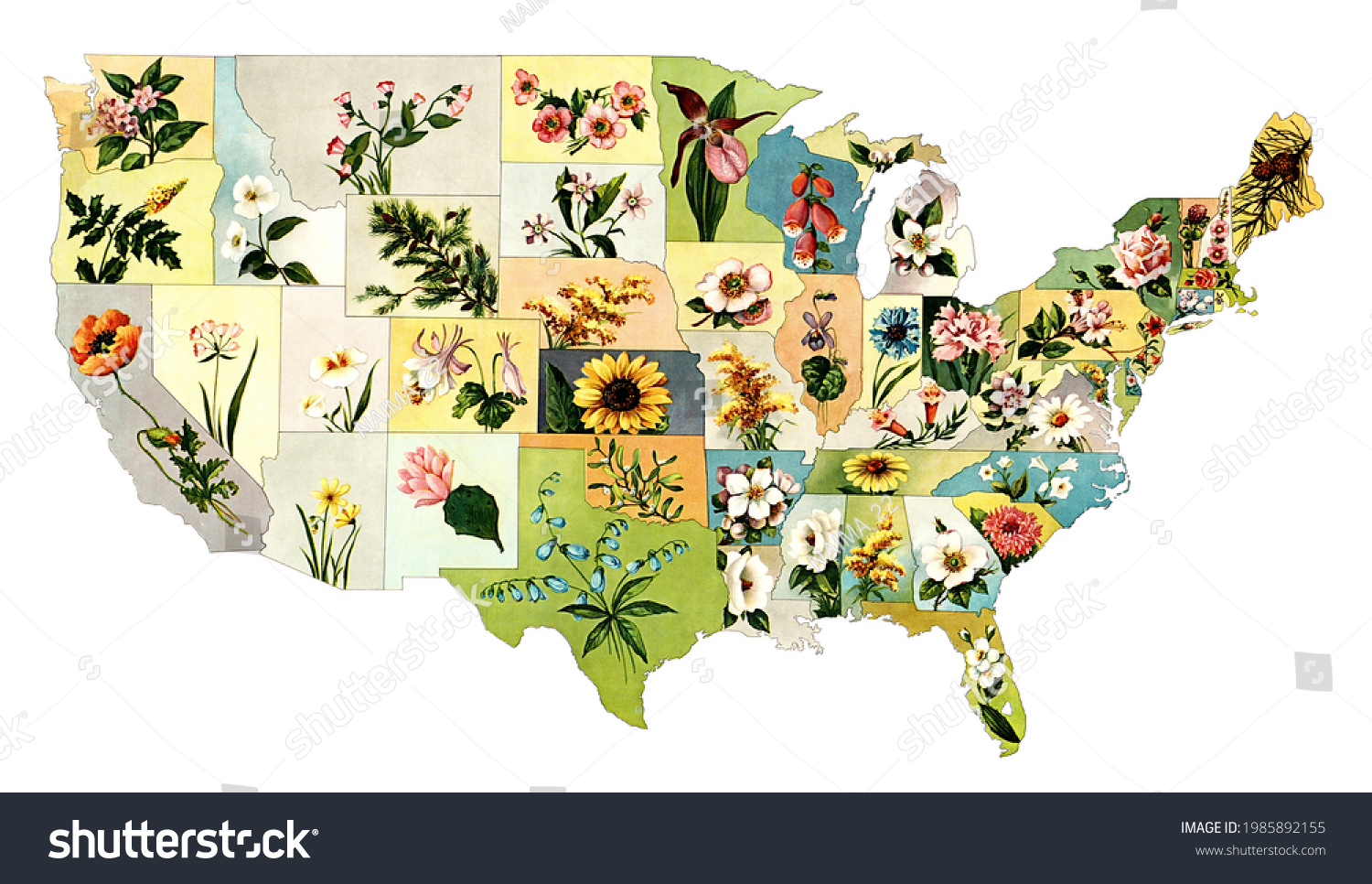 2,187,140 Symbols state Images, Stock Photos & Vectors | Shutterstock