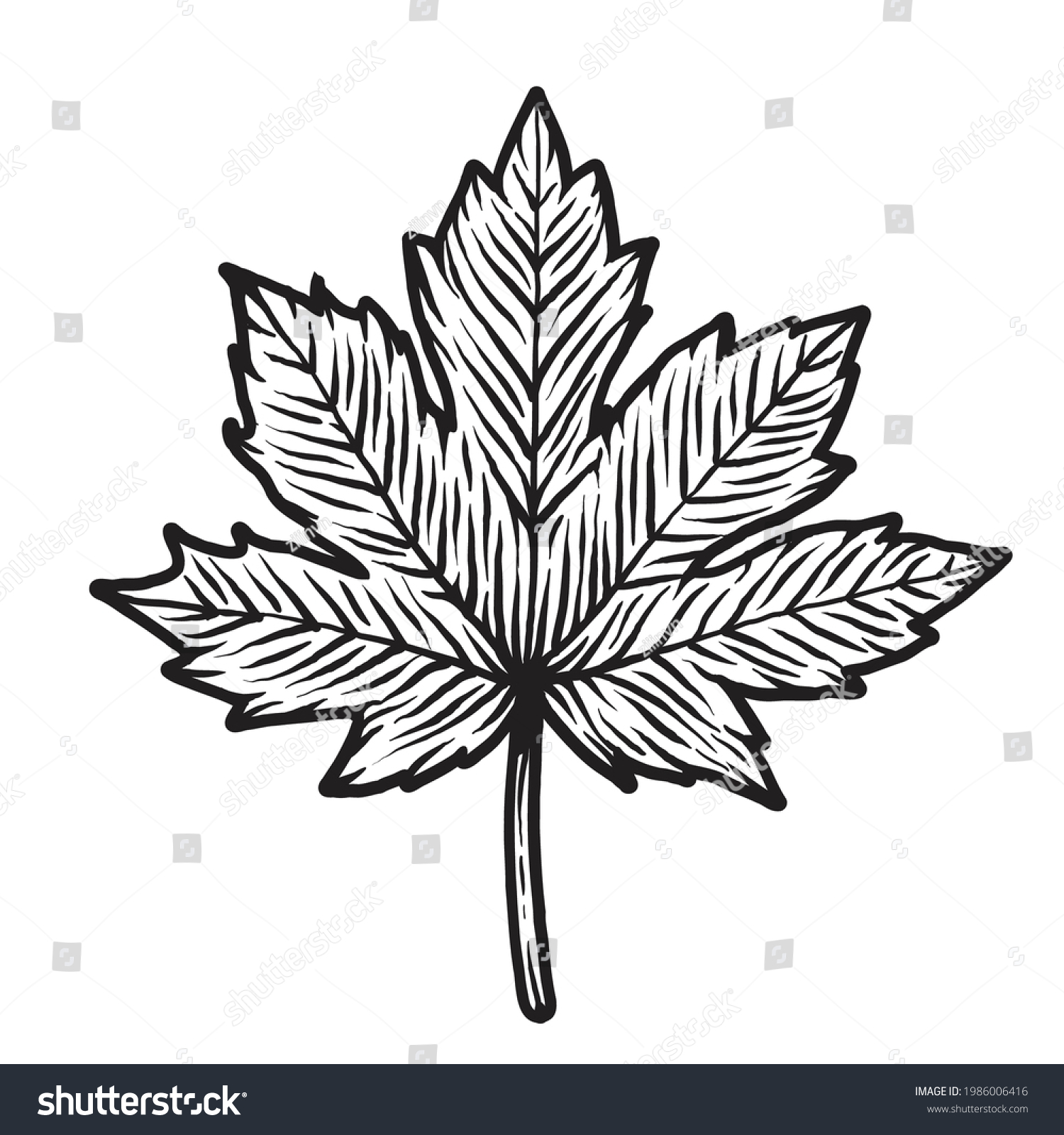 Maple Leaf Doodle Hand Drawn Vector Stock Vector (Royalty Free ...