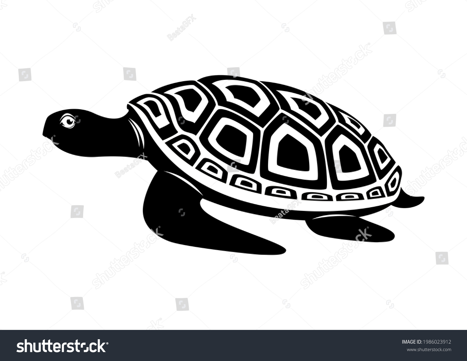 Sea Turtle Black White Illustration Sea Stock Illustration 1986023912 ...