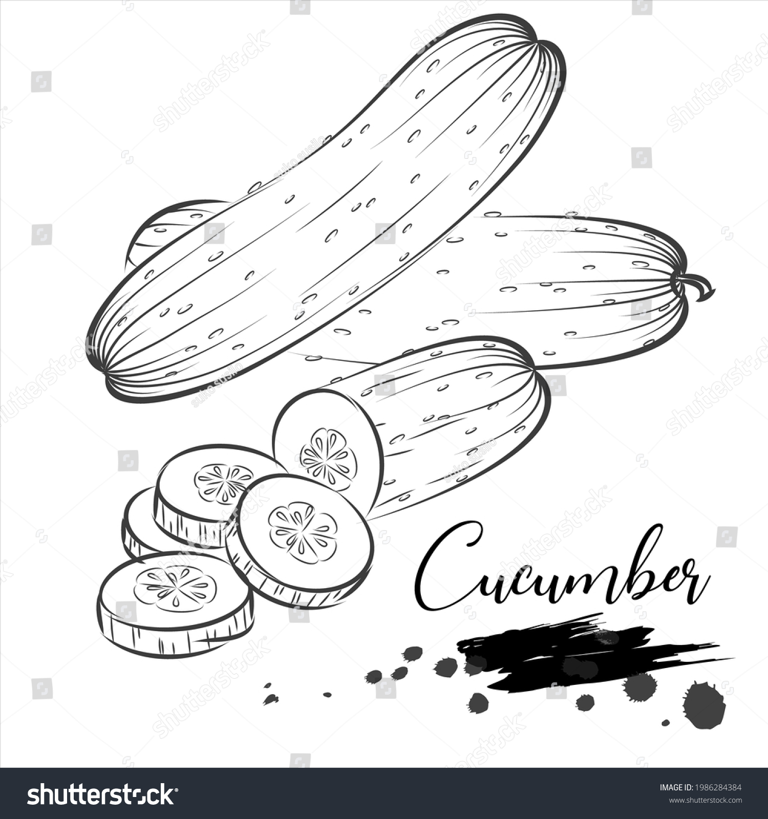 Vegetable Cucumber Line Art Vector Illustration Stock Vector (royalty 