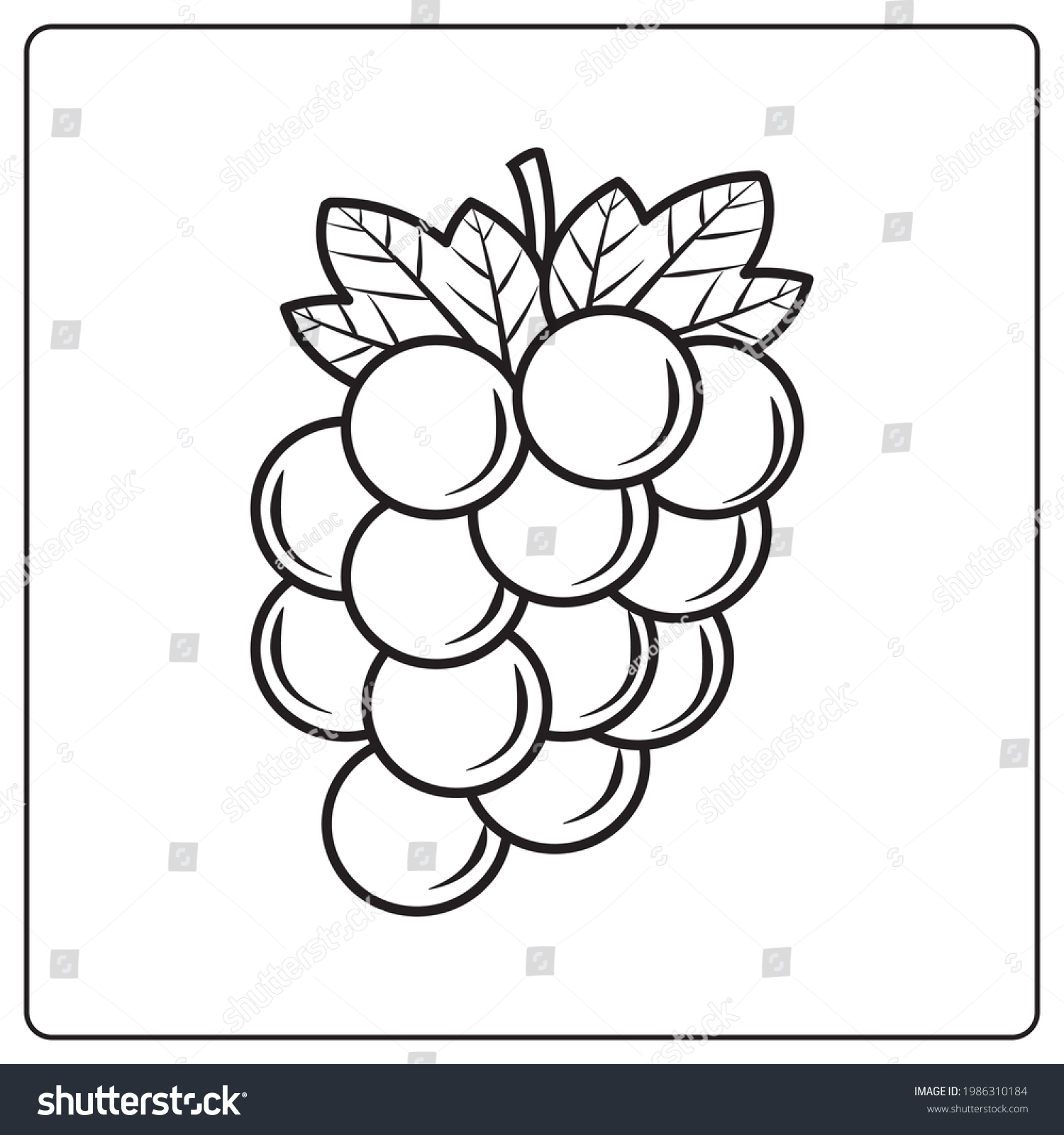 Chidren Coloring Page Fruits Grape Stock Vector (Royalty Free ...