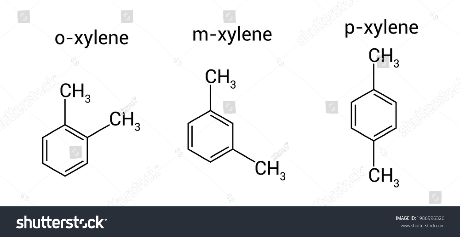 Chemical Structure Oxylene Mxylene Pxylene Stock Vector (Royalty Free ...