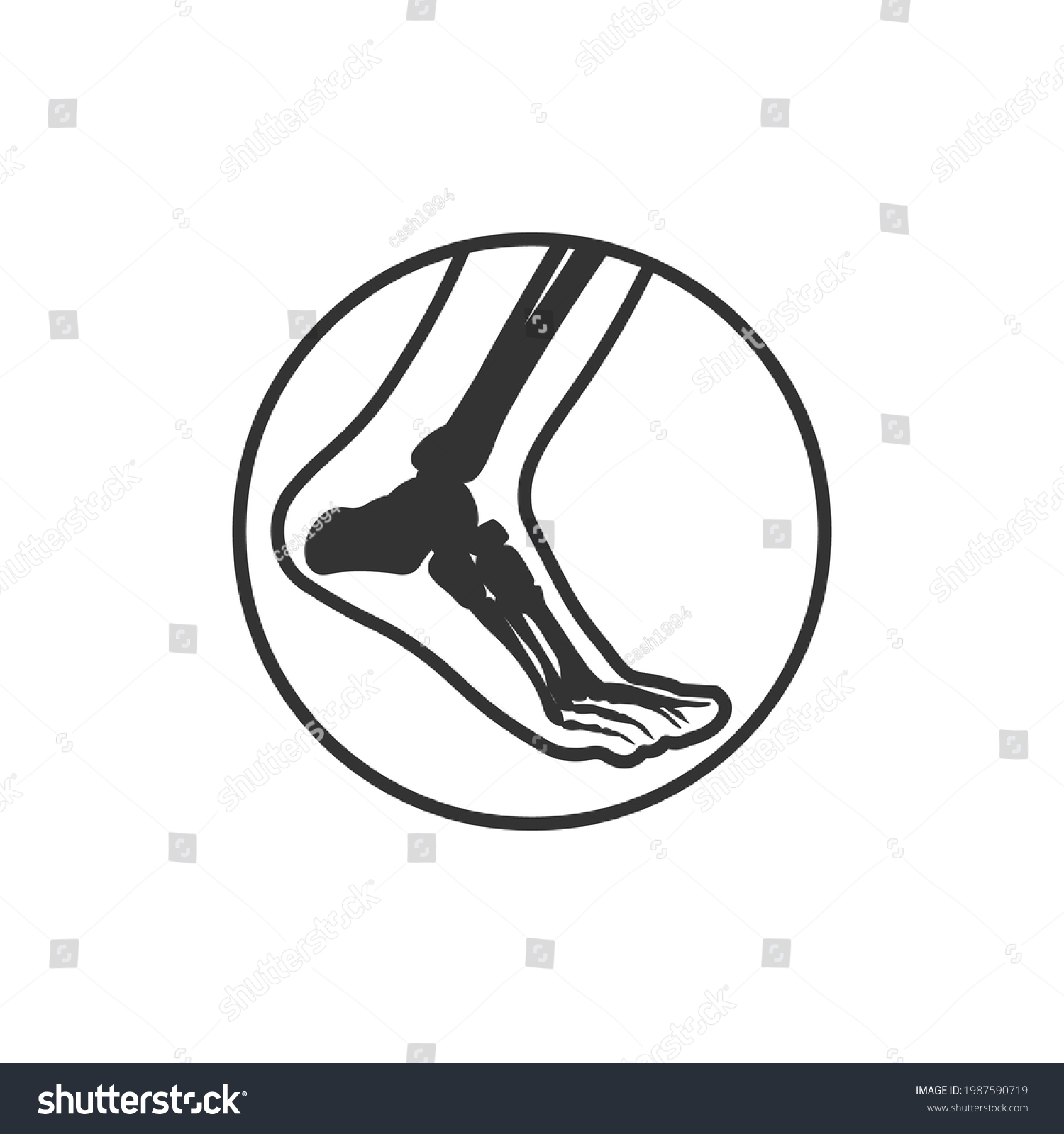 Icon Foot Bone Anatomy Vector Illustration Stock Vector (Royalty Free ...