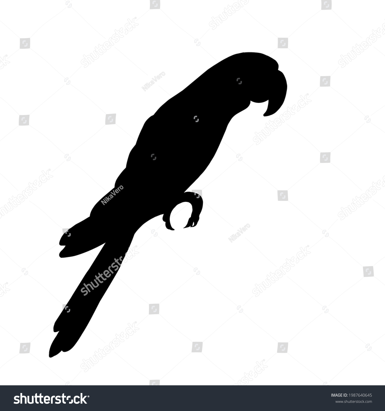 Silhouette Macaw Parrot Bird On White Stock Vector (Royalty Free ...