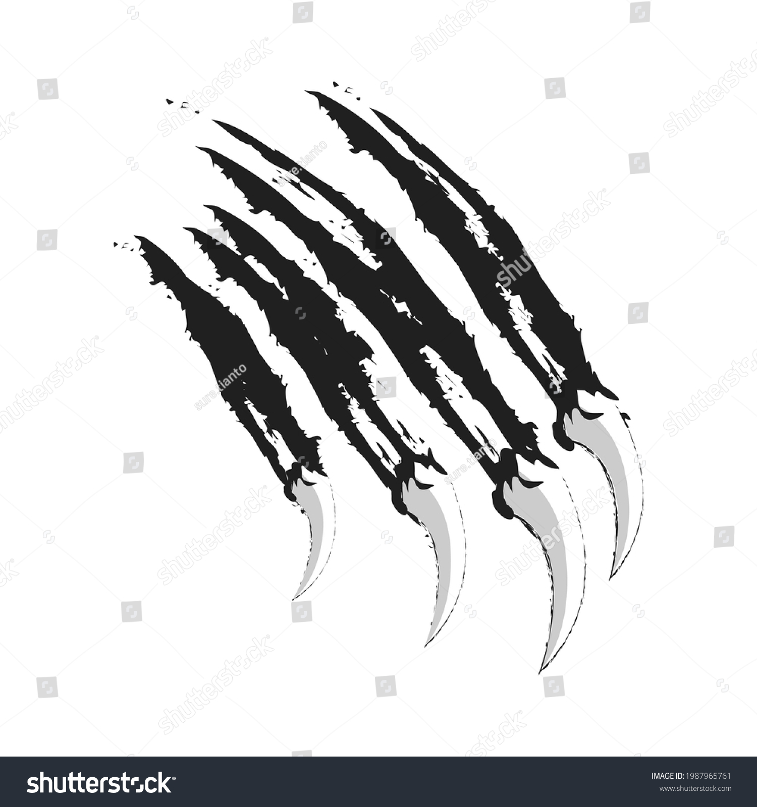 Tiger Claw Illustration Vector Drawing Stock Vector (Royalty Free ...