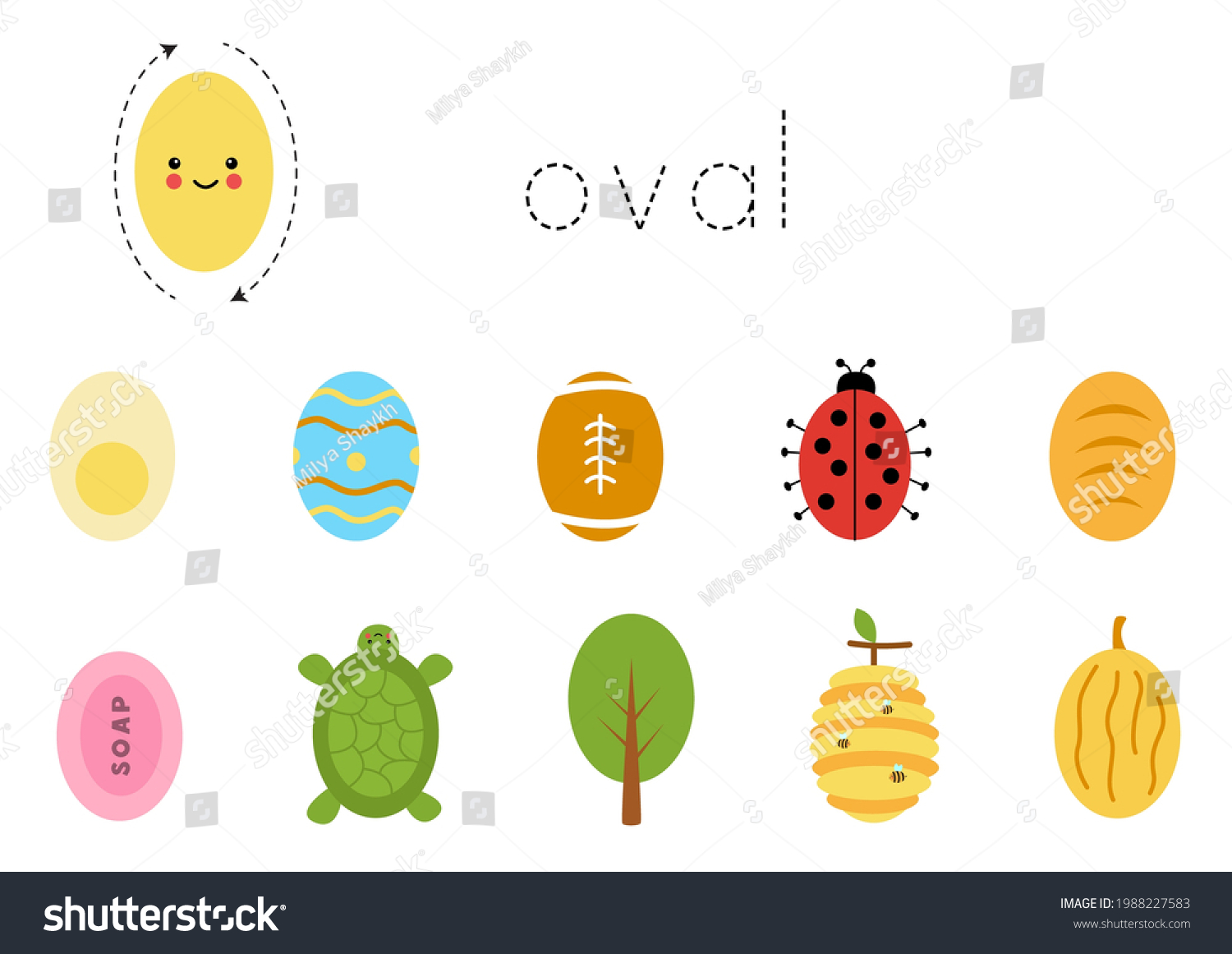 Oval Shape Objects For Kindergarten