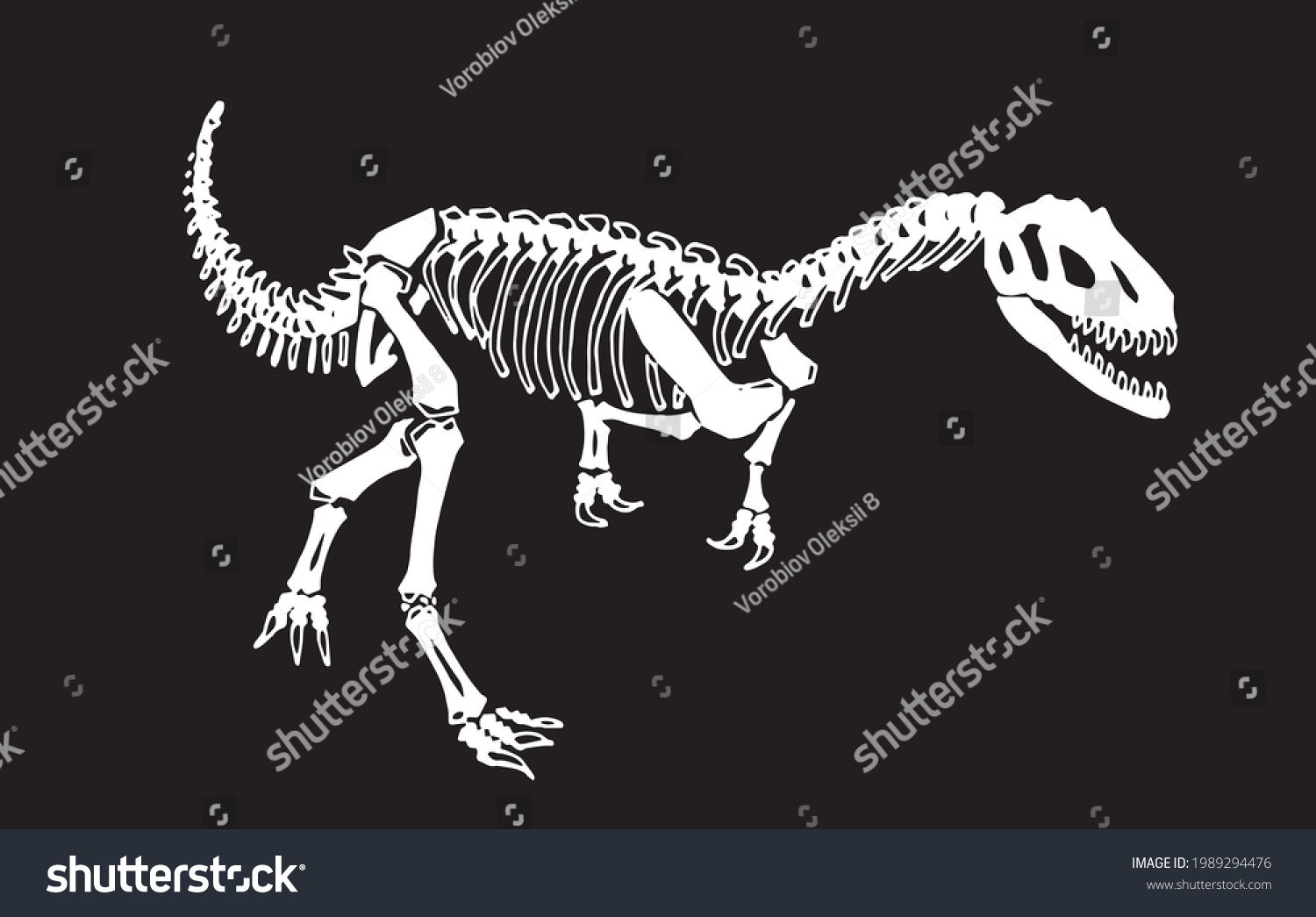 Graphical Skeleton Raptor Isolated On Black Stock Vector (Royalty Free ...