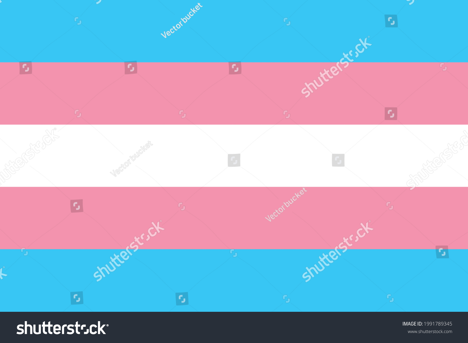 Transgender Flag Vector Illustration Transgender Pride Stock Vector ...