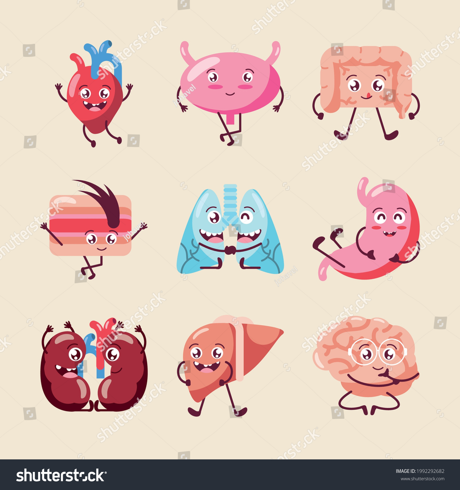 Cute Human Organs Cartoon Set Stock Vector Royalty Free 1992292682 Shutterstock