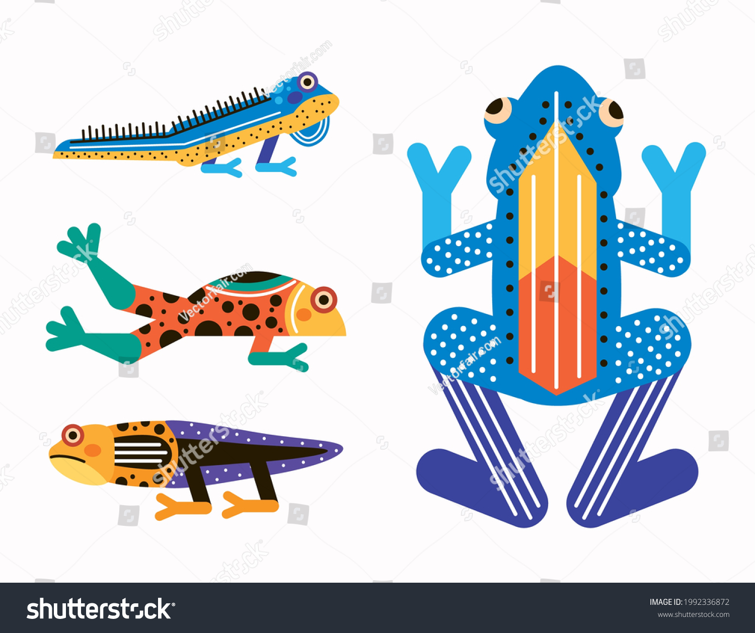 Four Cute Amphibians Set Animals Stock Vector (Royalty Free) 1992336872 ...