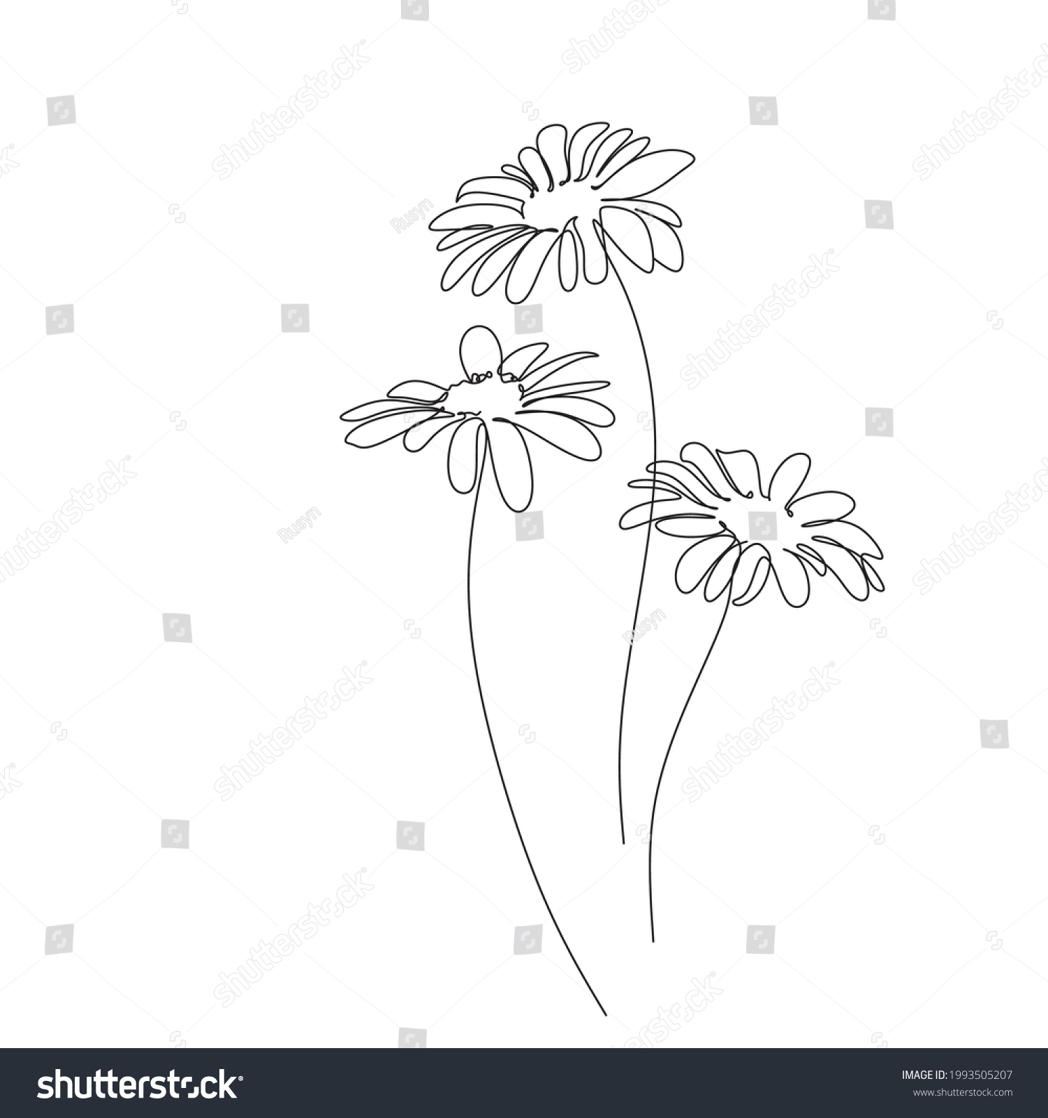 Botanical Illustration Line Art Botany Bloom Stock Vector (Royalty Free ...