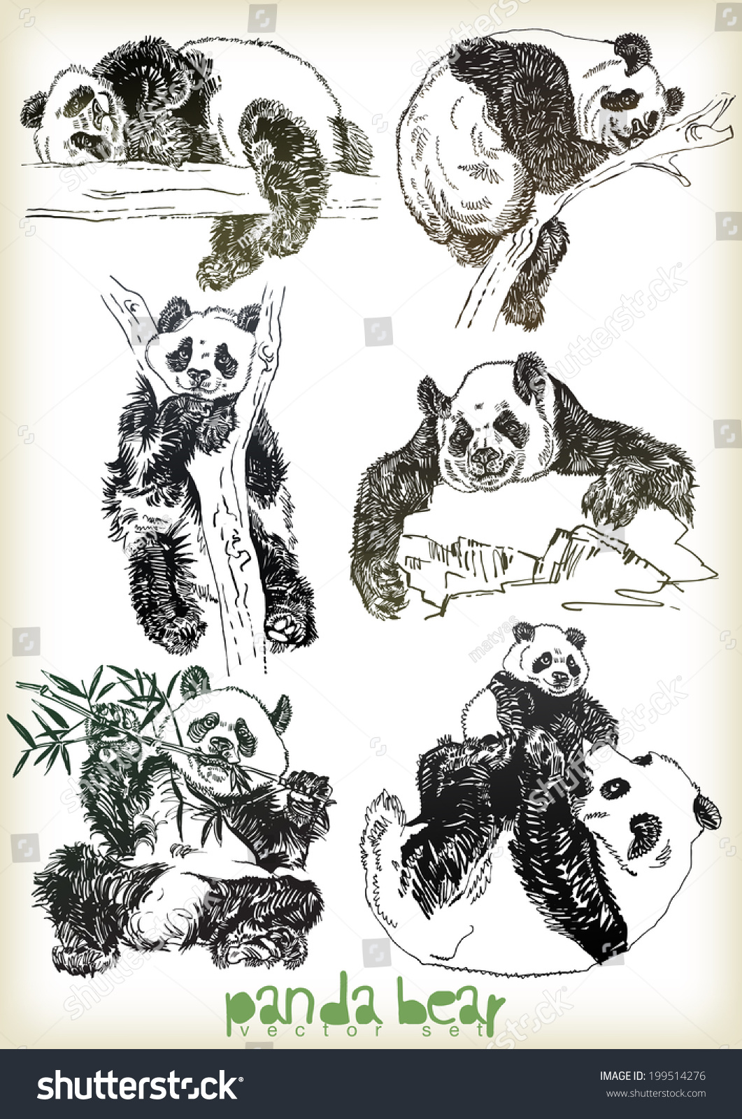 Hand Drawn Panda Bear Vector Set Stock Vector (Royalty Free) 199514276 ...