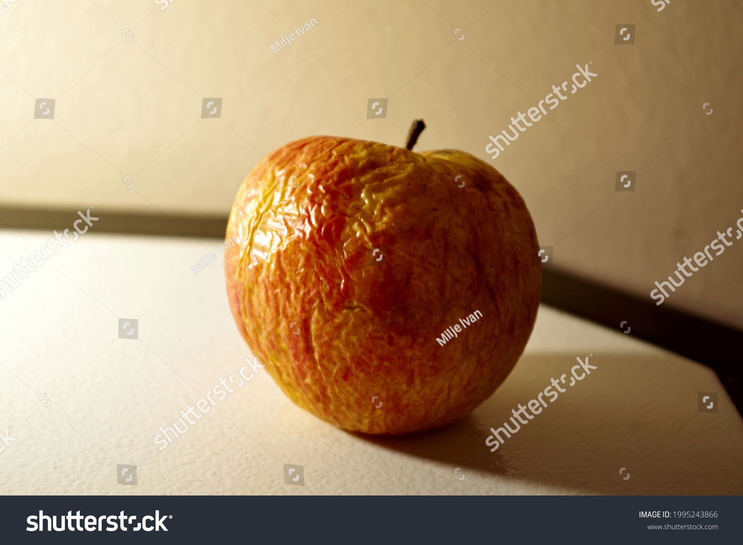 Wizened Rotten Fruit Dried Apple Rotten Stock Photo 1995243866 ...