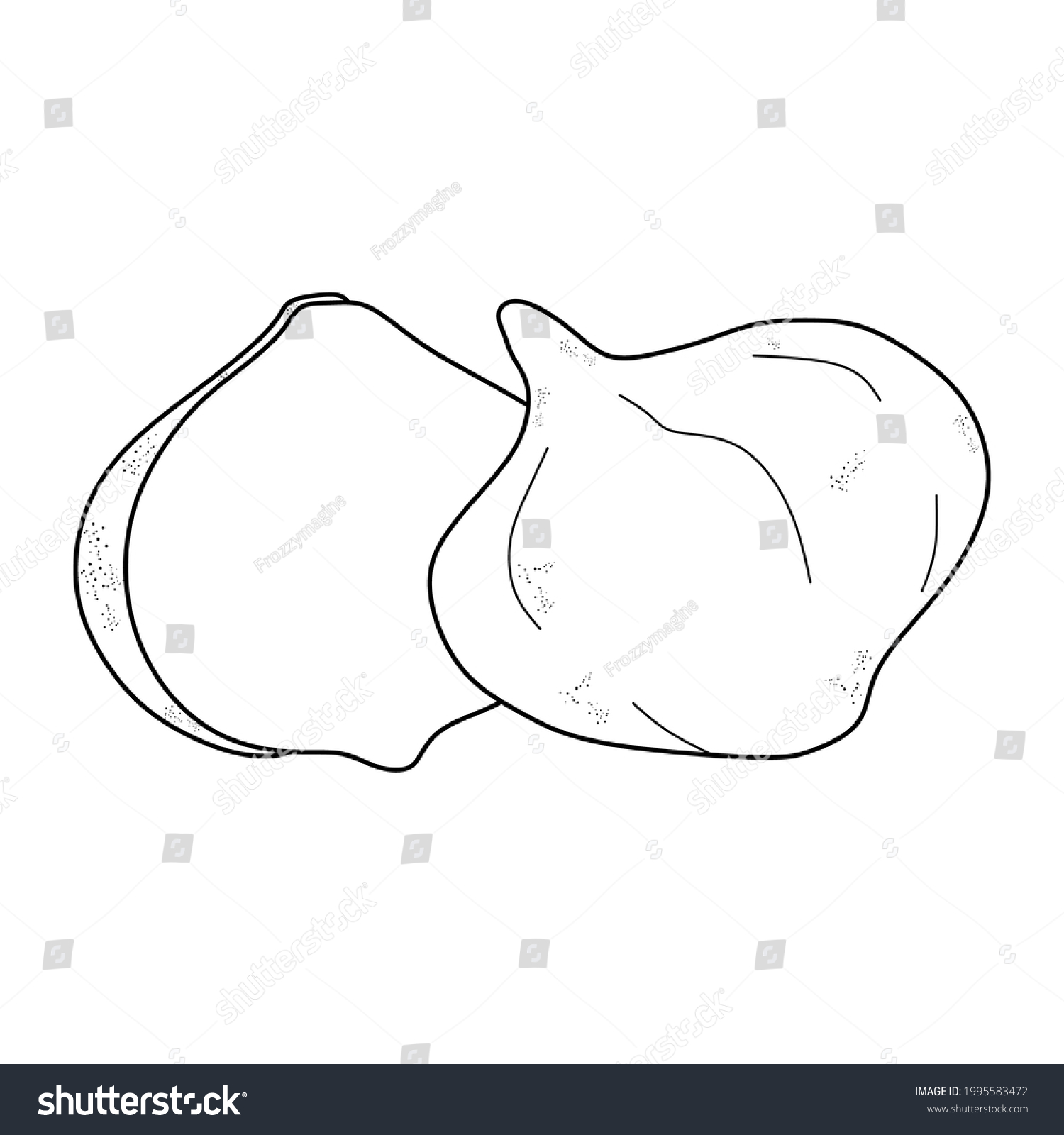 Jicama Fruit Illustration Jicama Fruit Symbol Stock Vector (Royalty ...